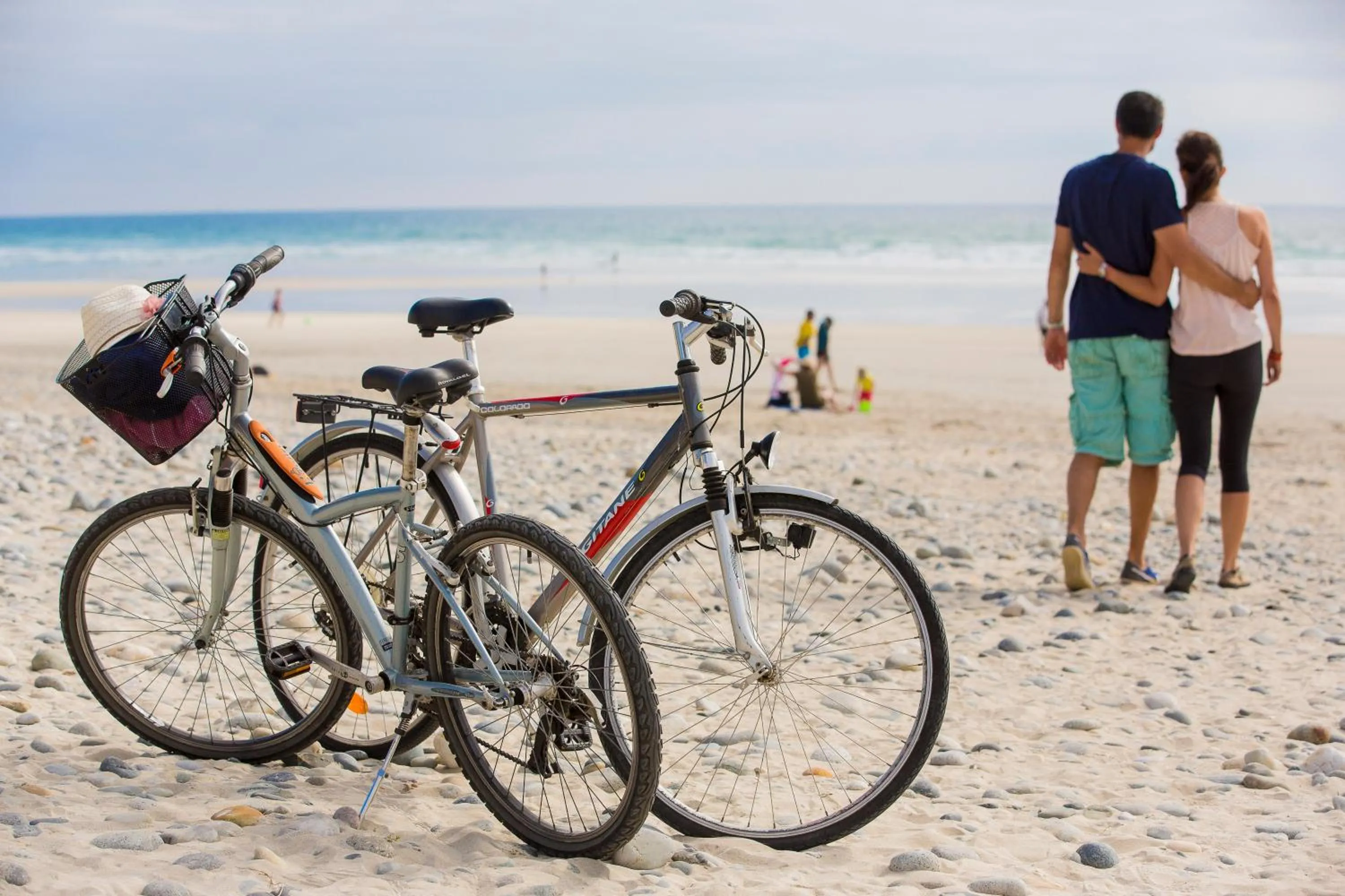Cycling in Hôtel Ginkgo - SPA Biloba