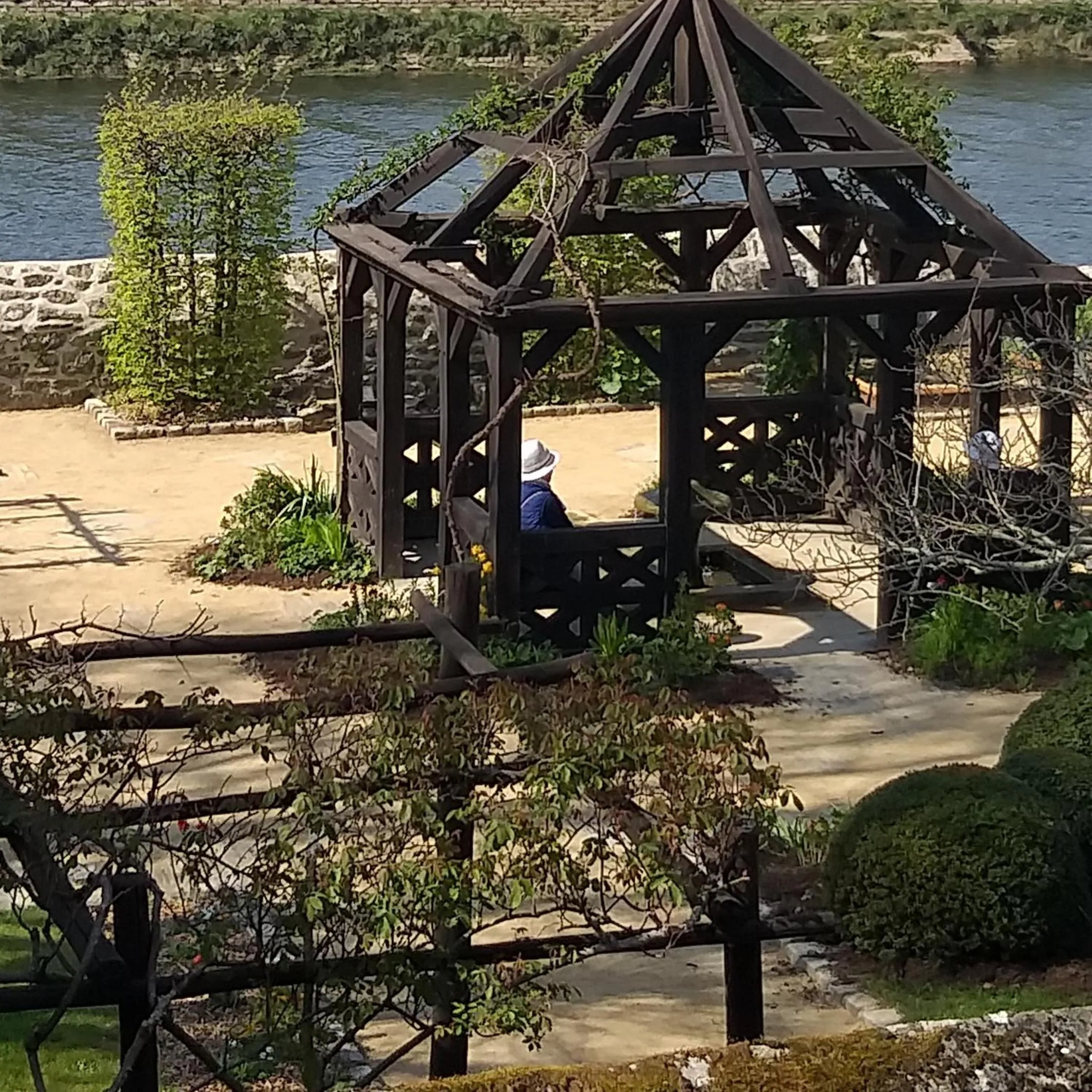 Garden view in Hôtel Ginkgo - SPA Biloba