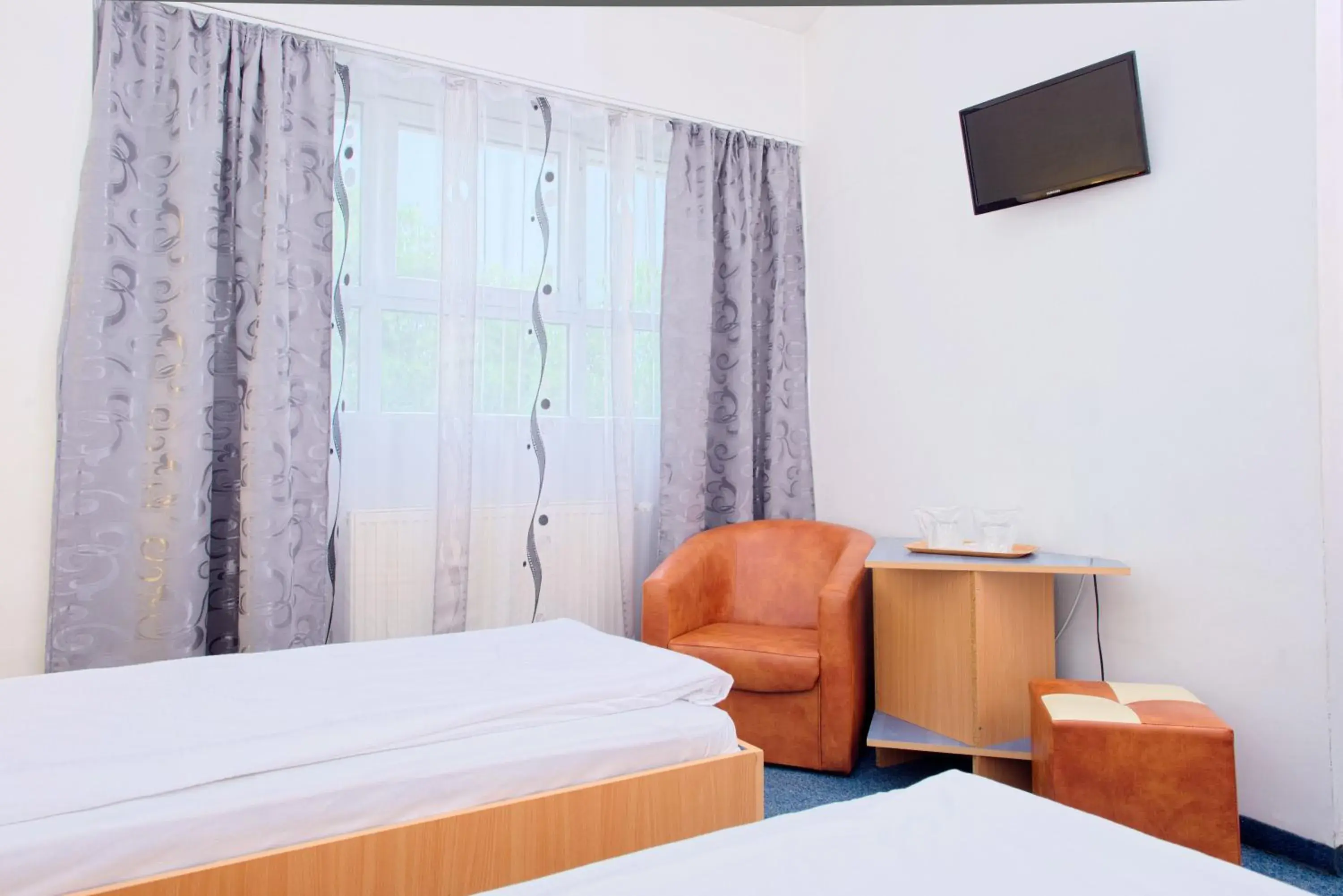 Standard Twin Room - single occupancy in Pensiunea Leo Standard Twin Room - single occupancy in Pensiunea Leo