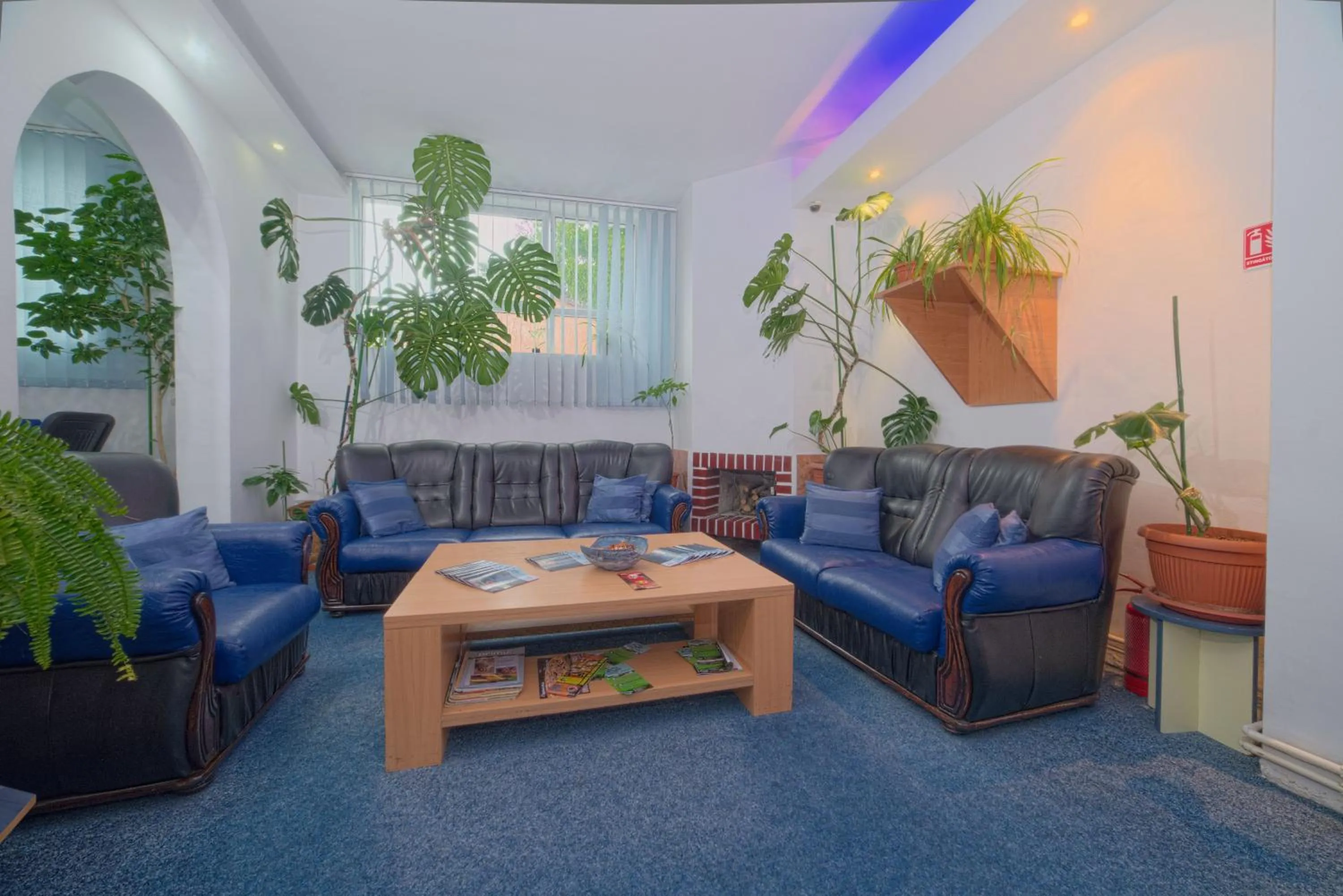 Living room in Pensiunea Leo