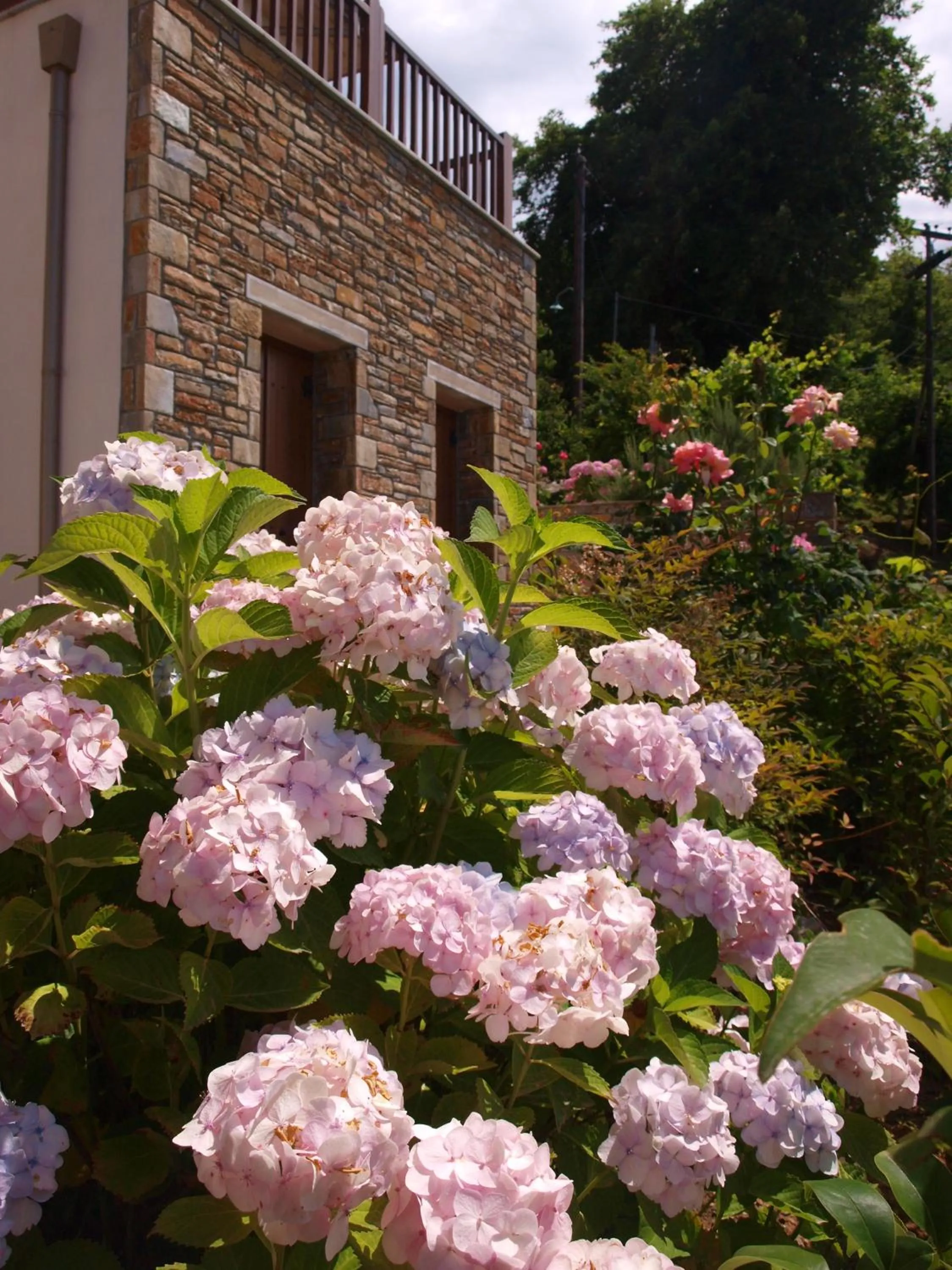 Facade/entrance in Lions Nine