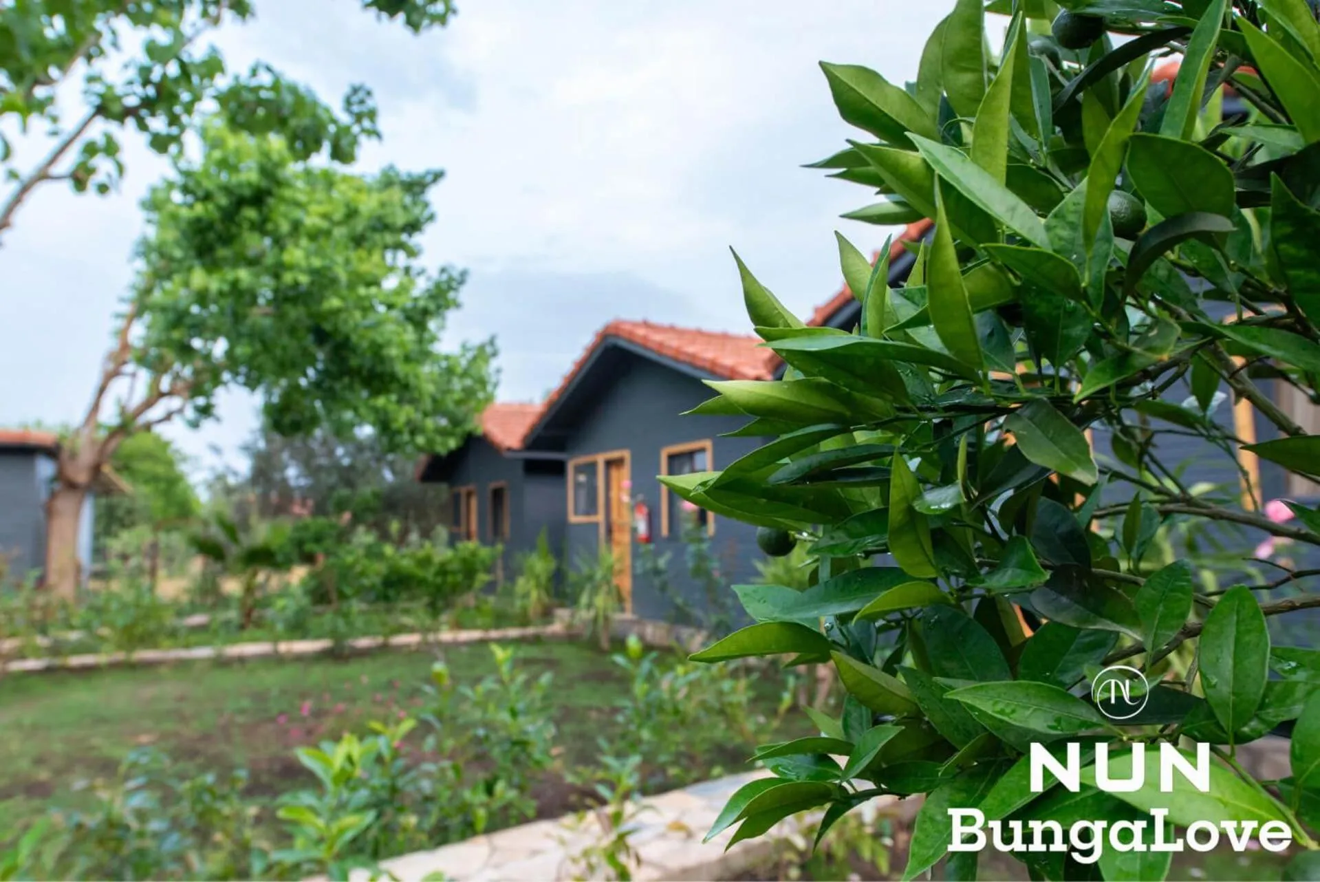 Standard Triple Room in Çıralı Nun Bungalove