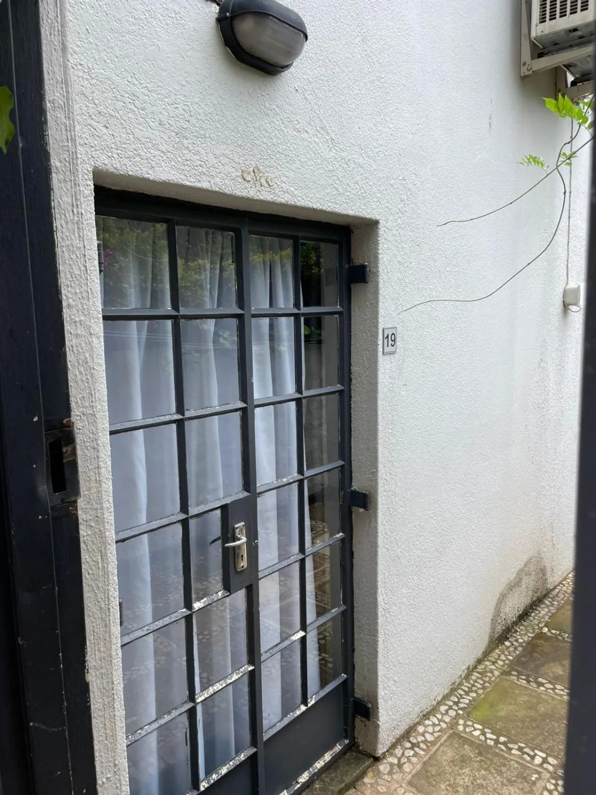 Day in The Wild Peach - Menlyn