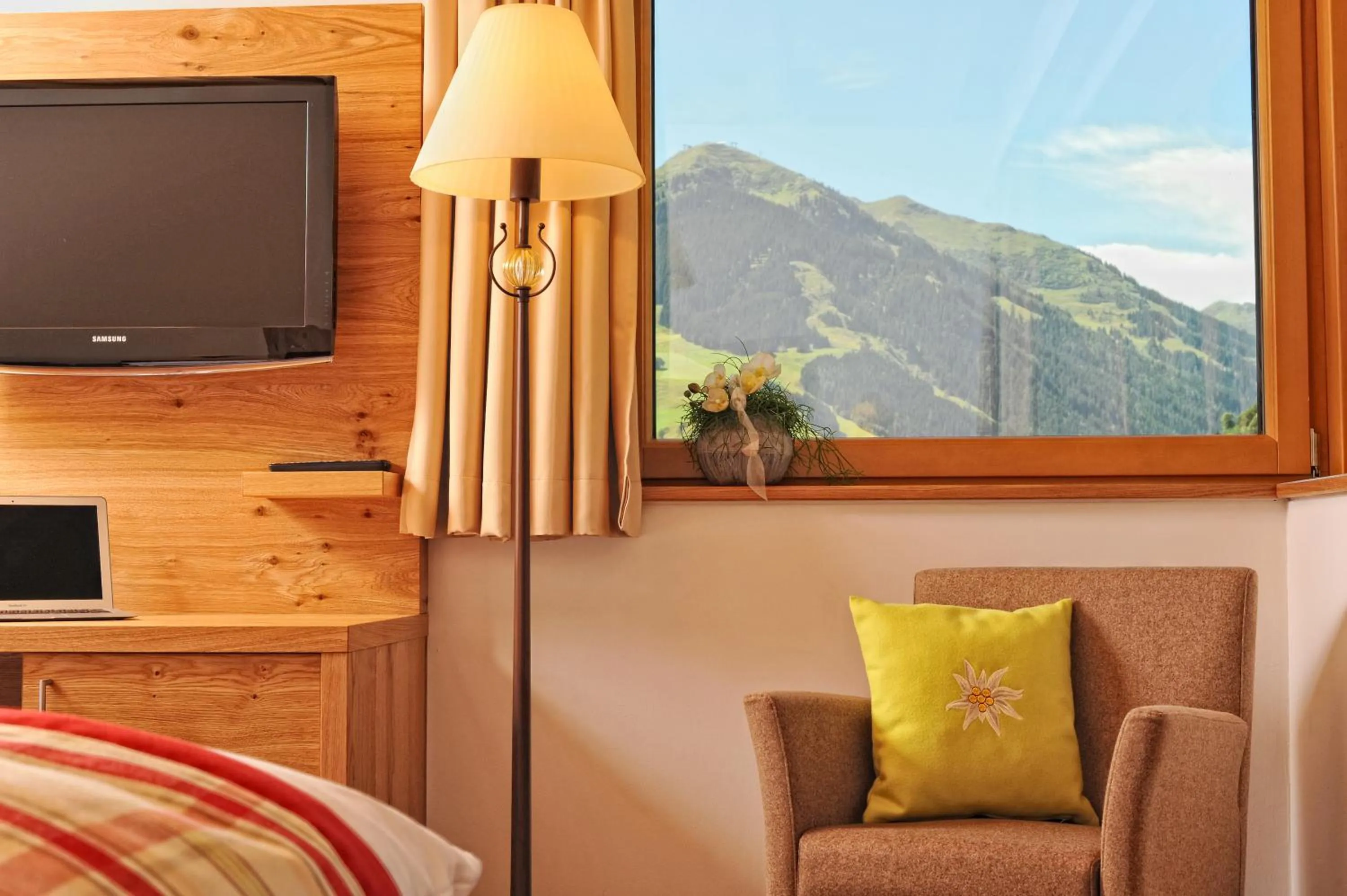 TV and multimedia in Hotel Barbarahof Saalbach