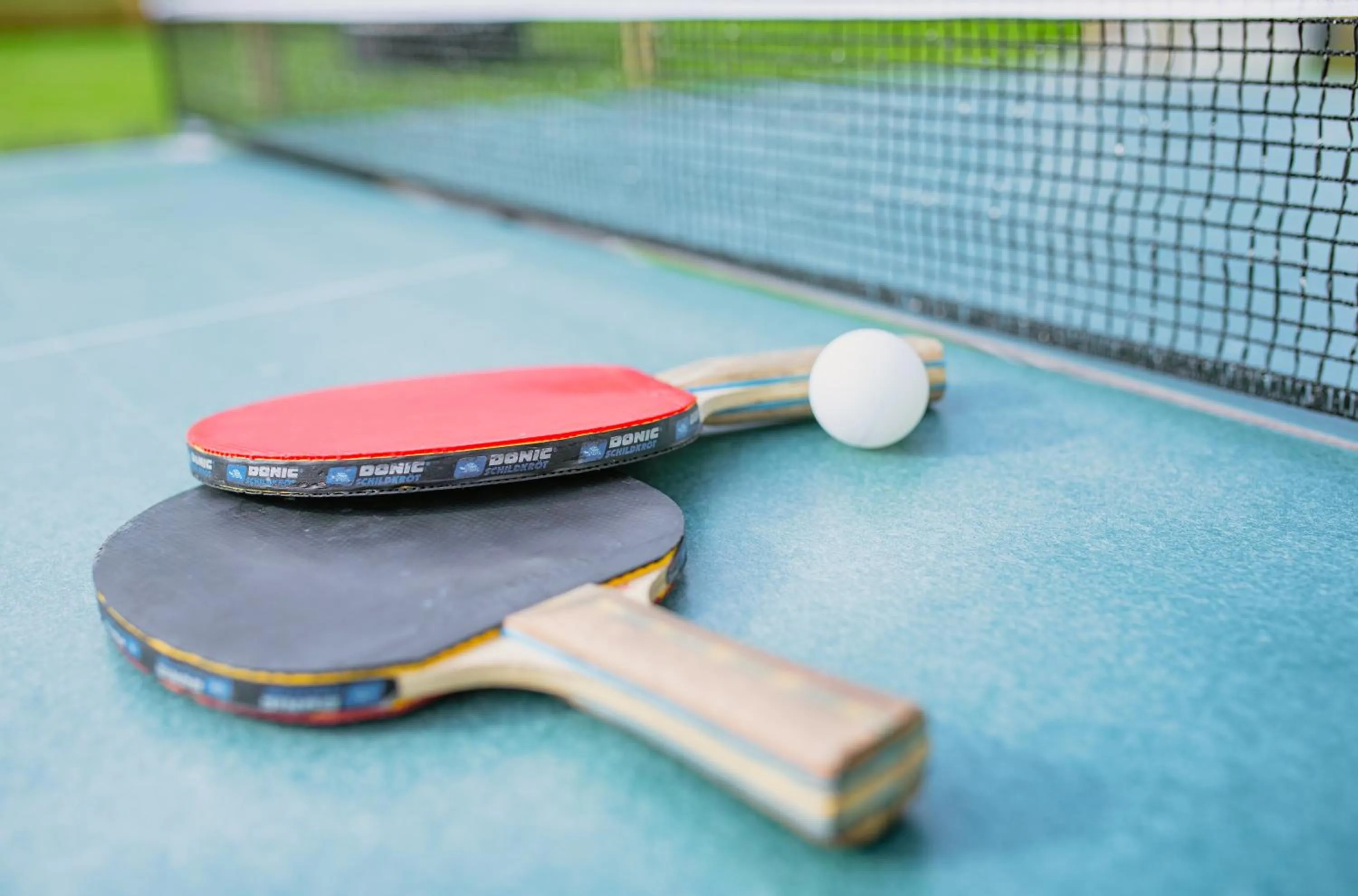 Activities in Hotel Barbarahof Saalbach