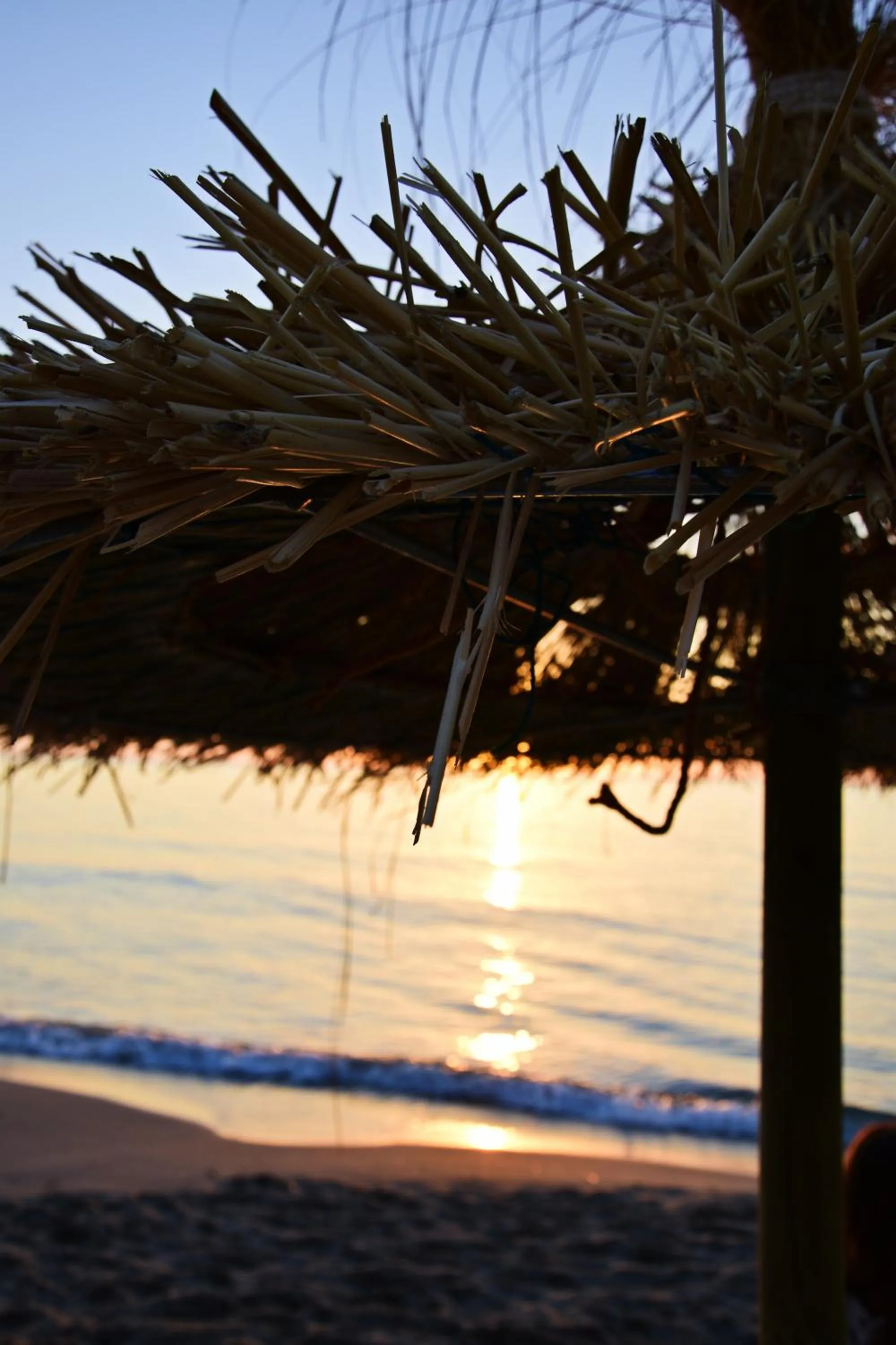 Beach in Saracen Sands Hotel & Congress Centre - Palermo