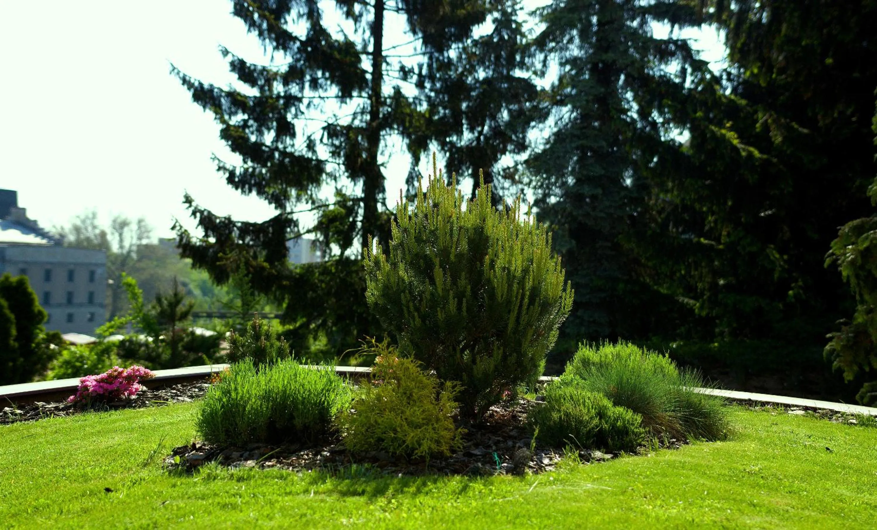 Other in Pension Falconi