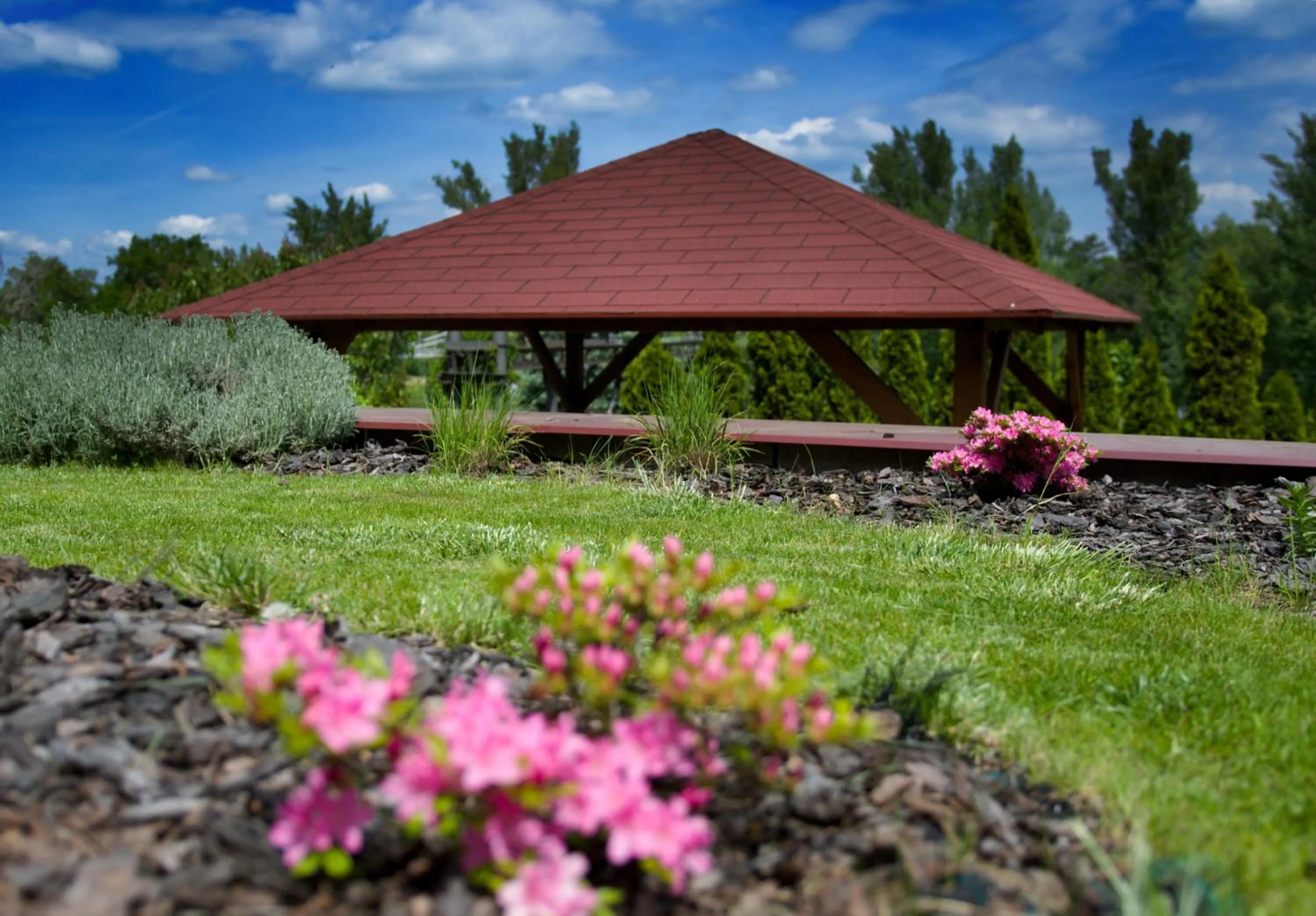 Garden view in Pension Falconi
