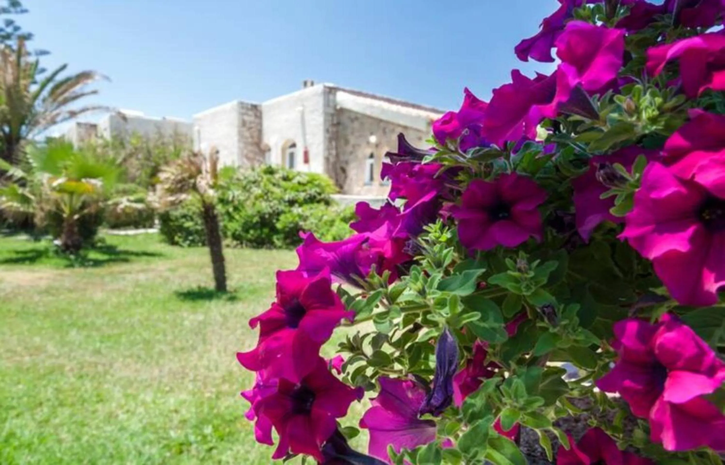 Garden in Stavros Villas&Apartments