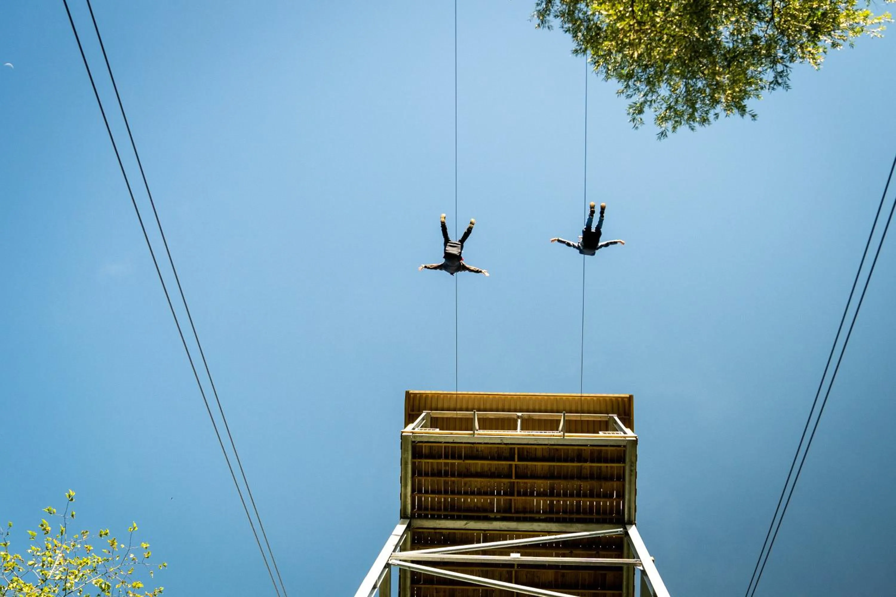 Nearby landmark in Radisson Blu Hotel Belfast