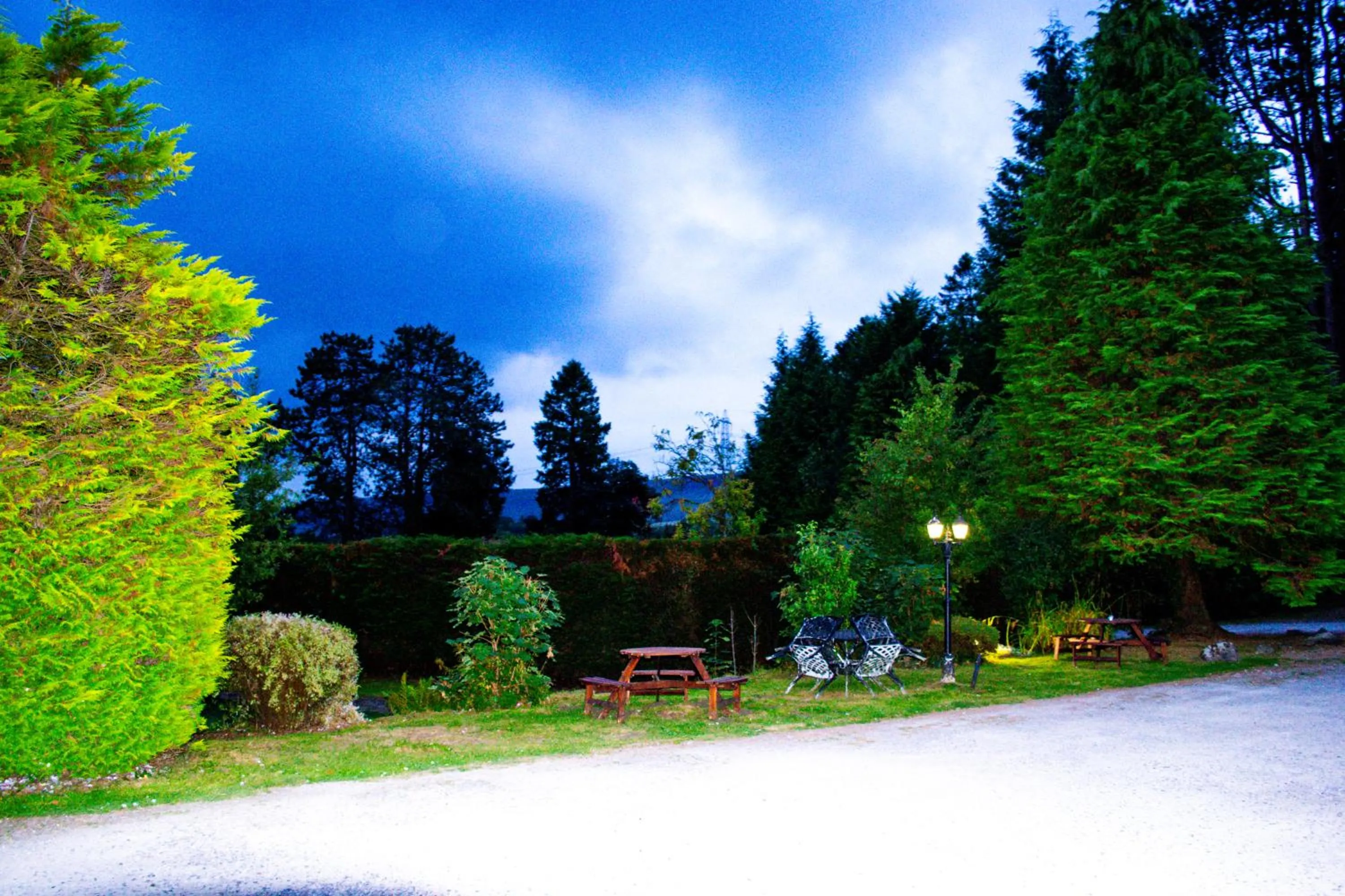 Ty Newydd Country Hotel