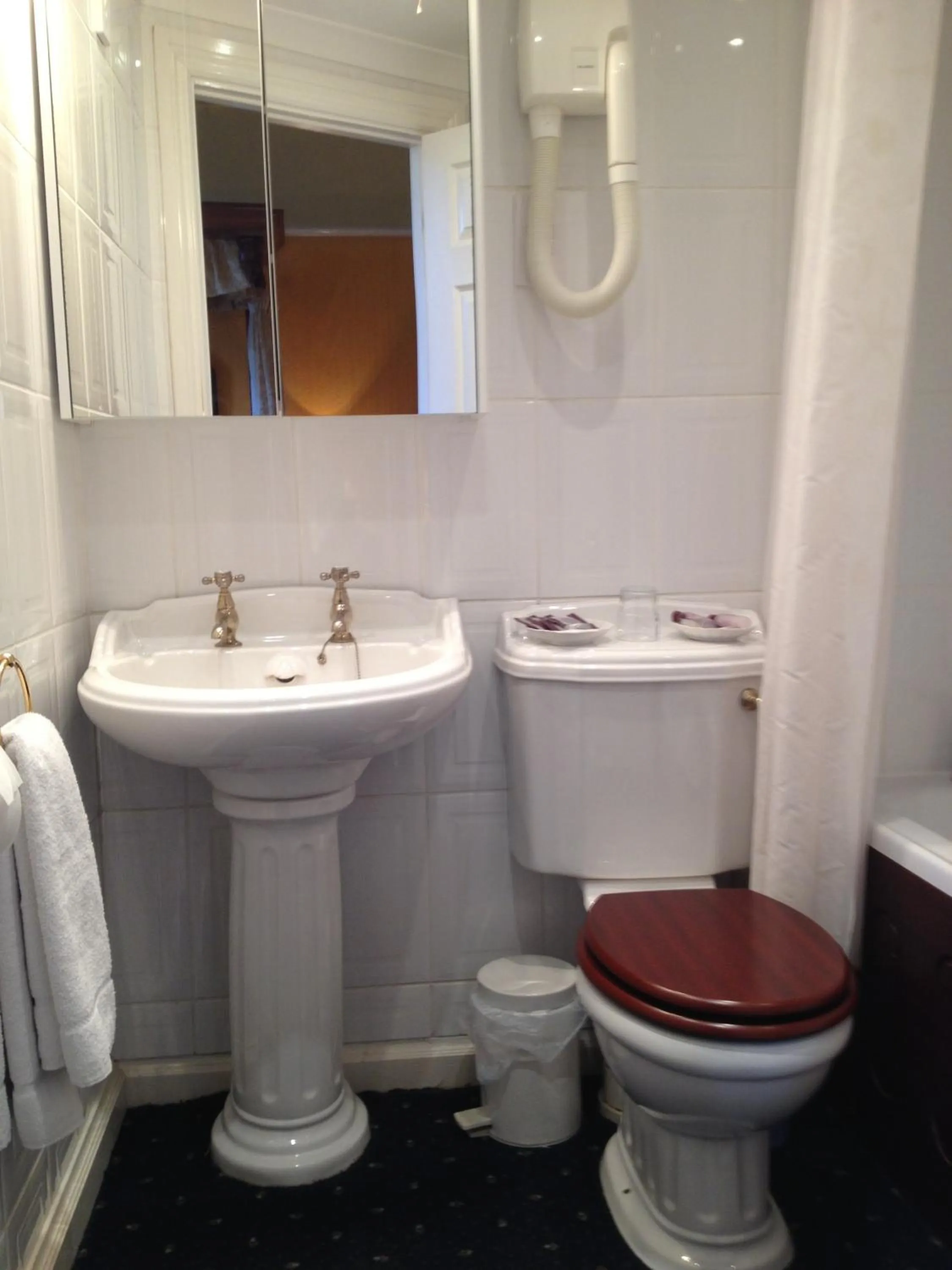 Bathroom in Ty Newydd Country Hotel