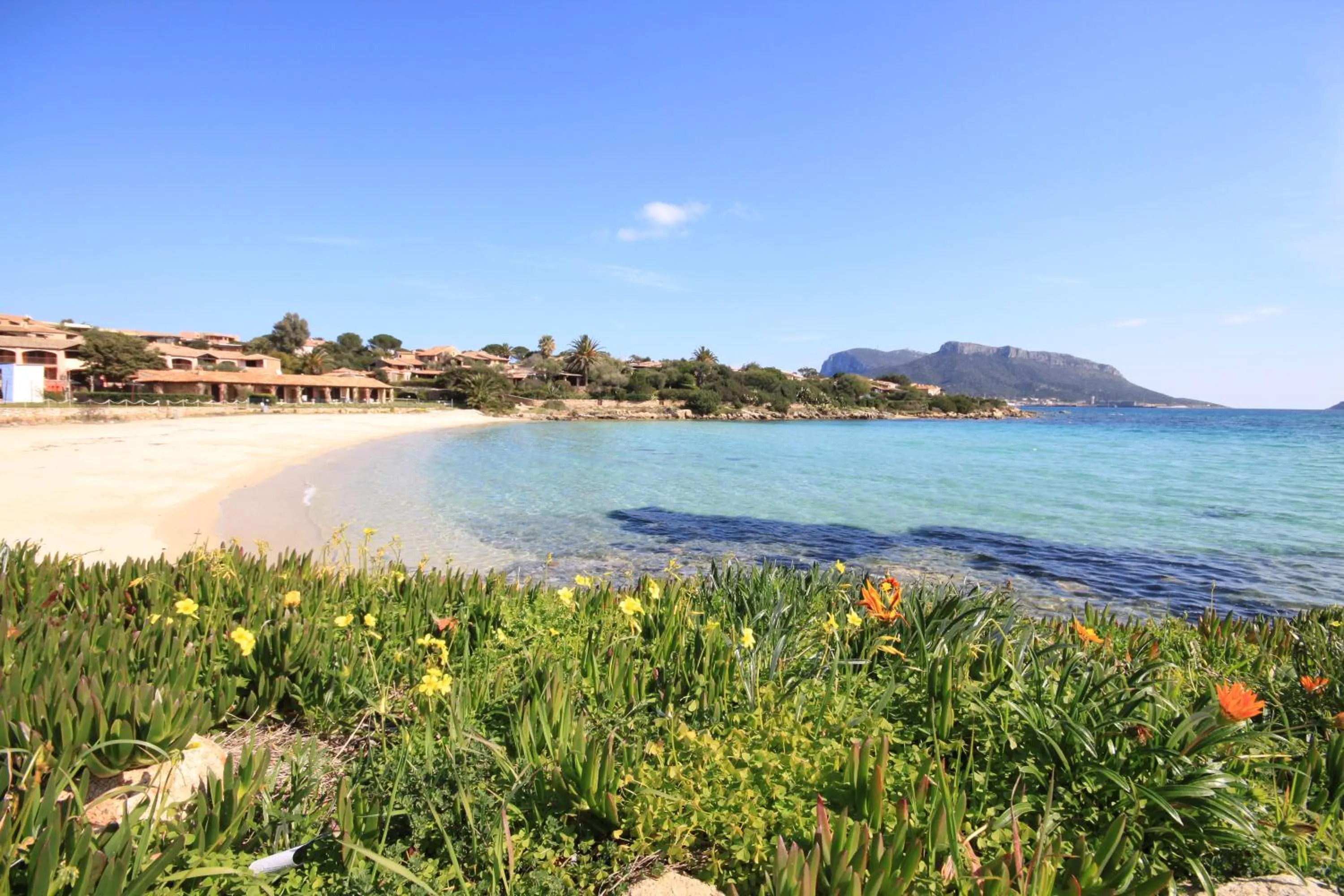 Beach in Apartment in S'Abba e Sa Pedra complex with pool