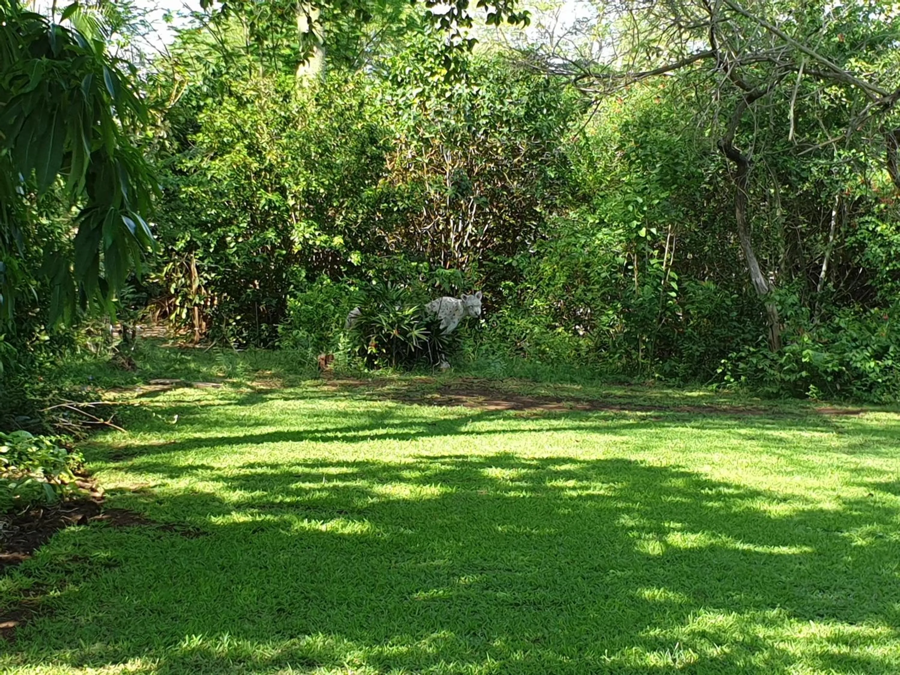 Garden in Kruger Allo B&B