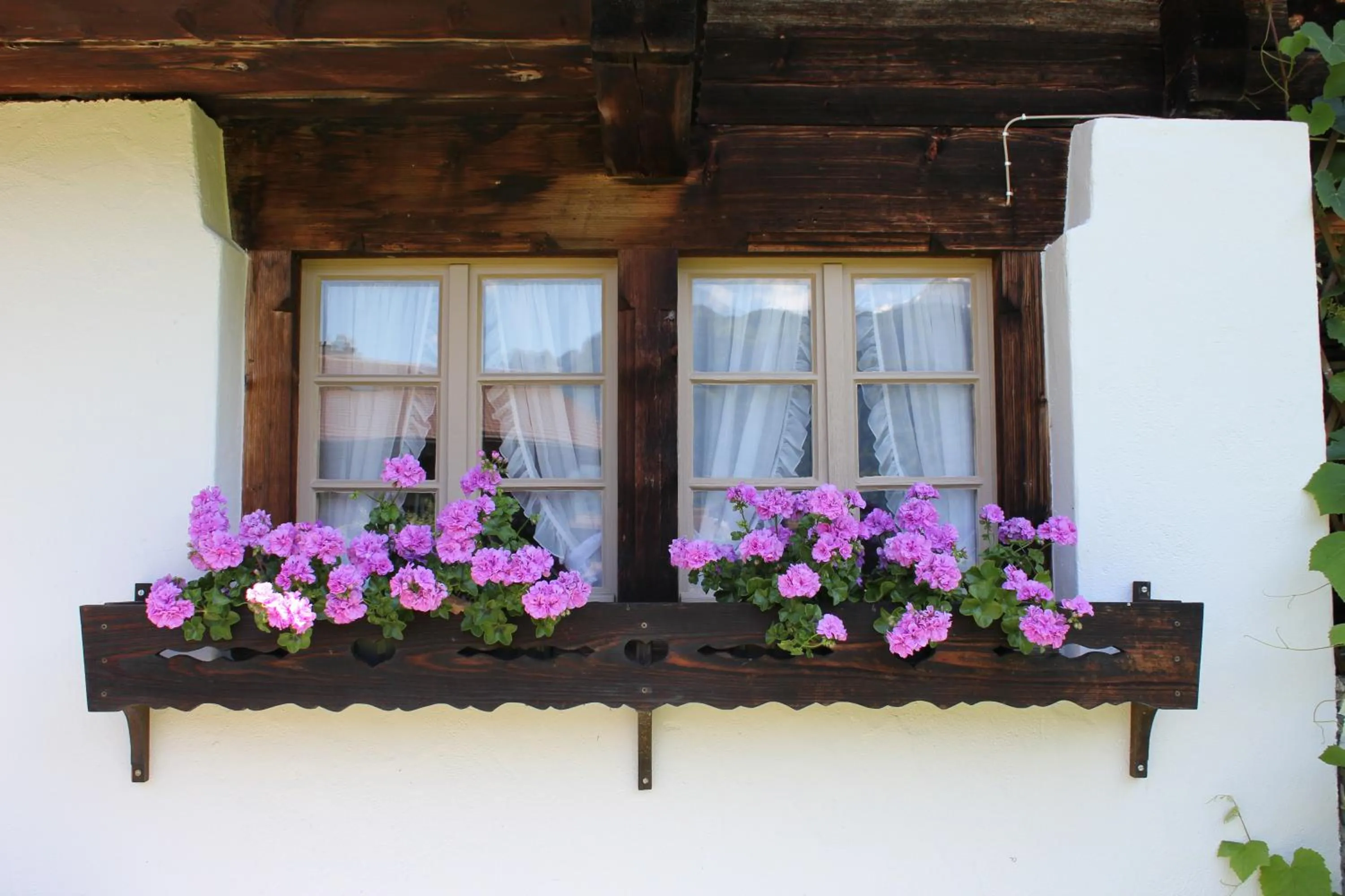 Property building in B & B Brienz