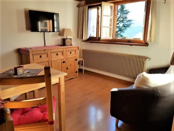 TV and multimedia in B & B Brienz