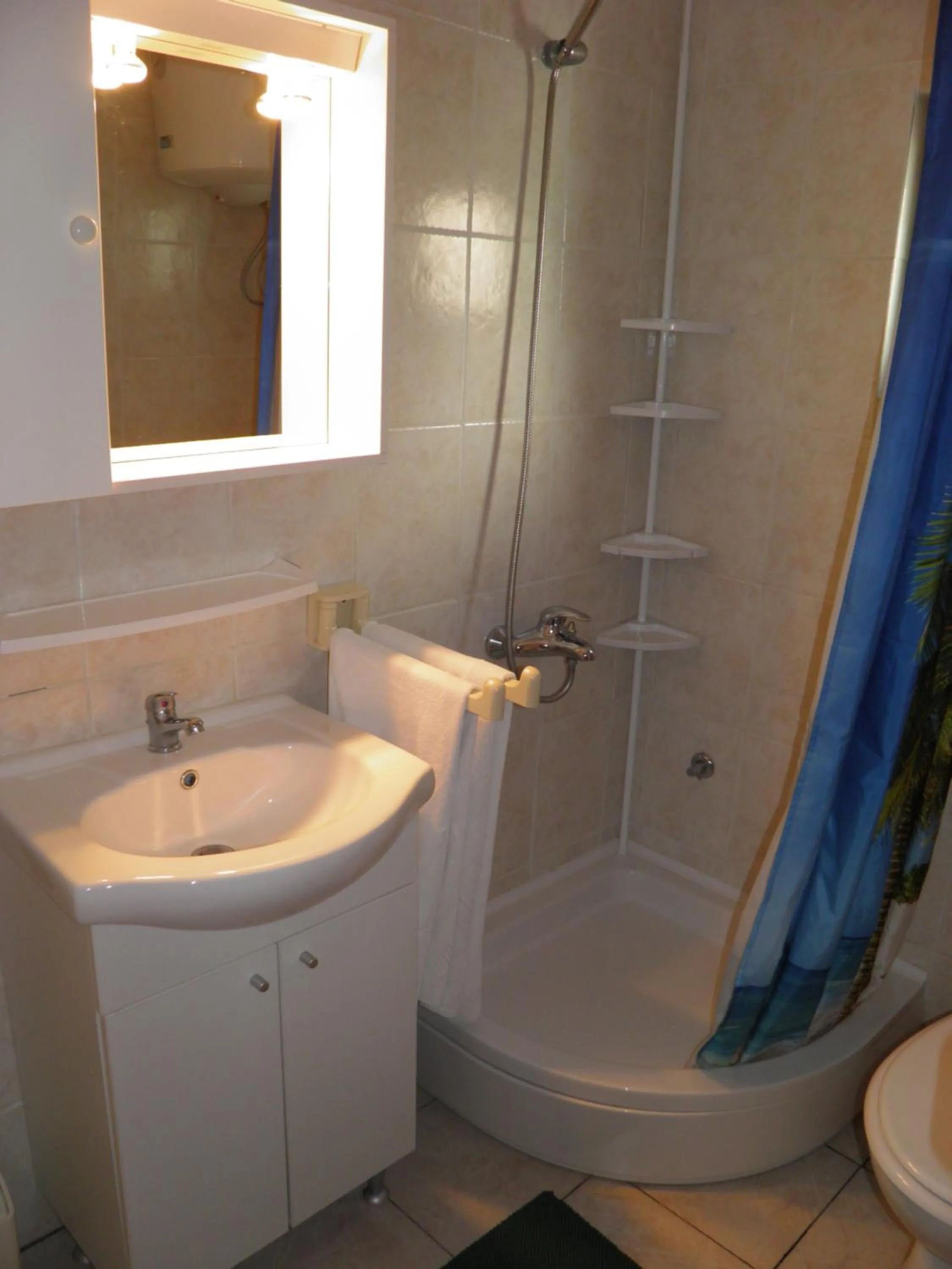 Shower in Apartment Mira