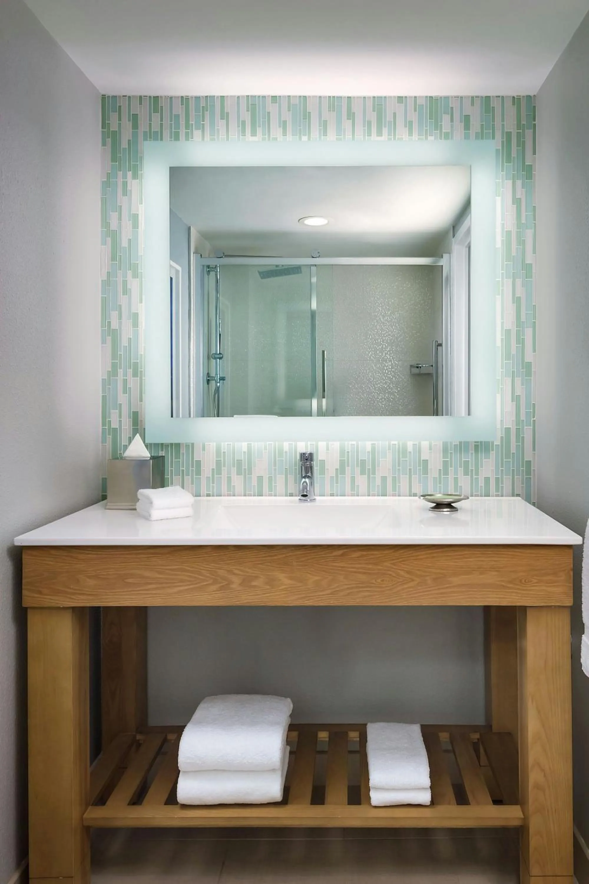 Bathroom in Walt Disney World Swan