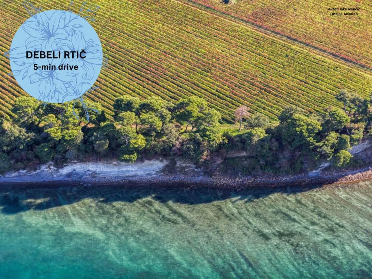 Nearby landmark in Rezidenca Ortus