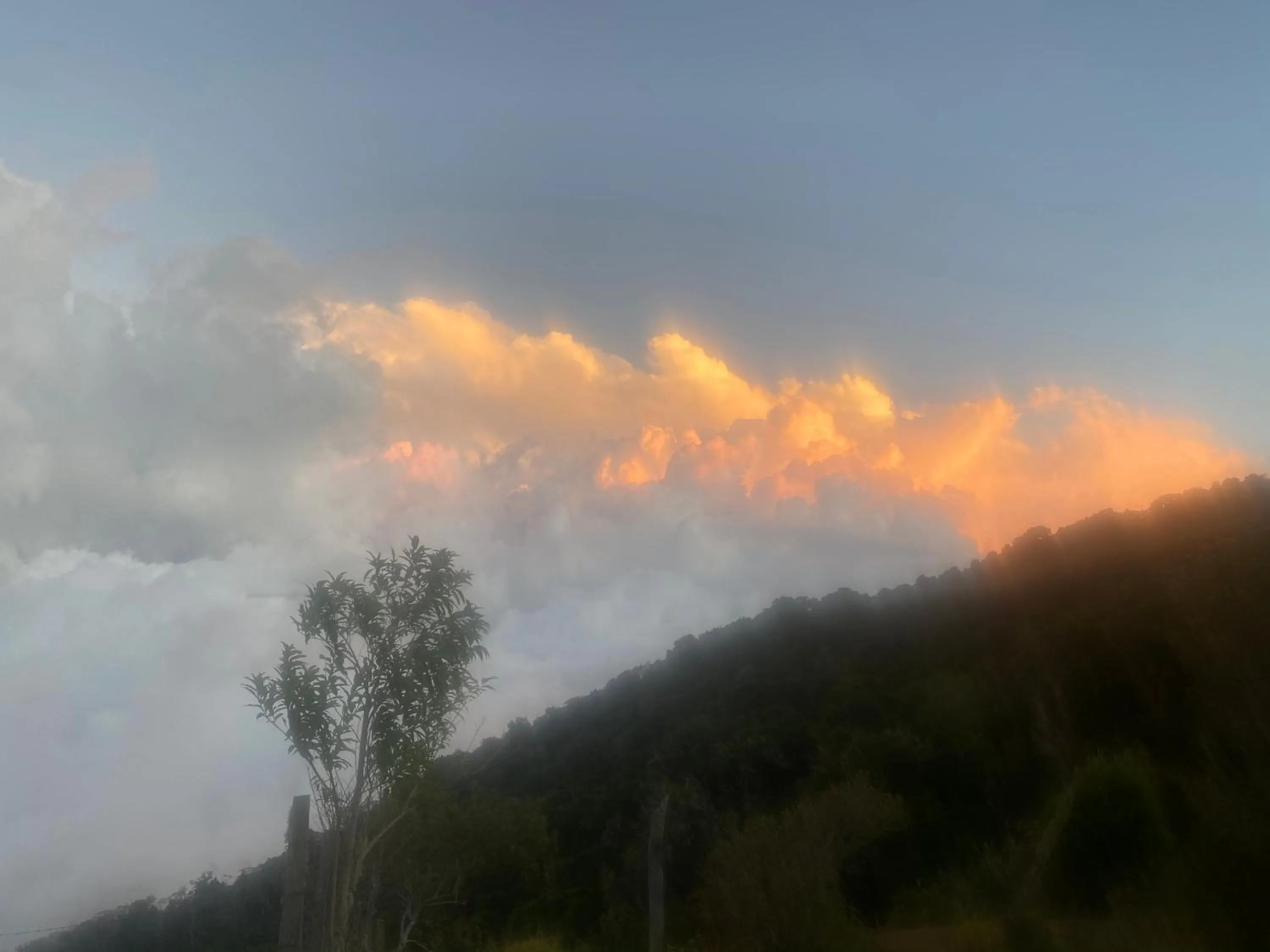 Balcony/Terrace in Hotel Uran