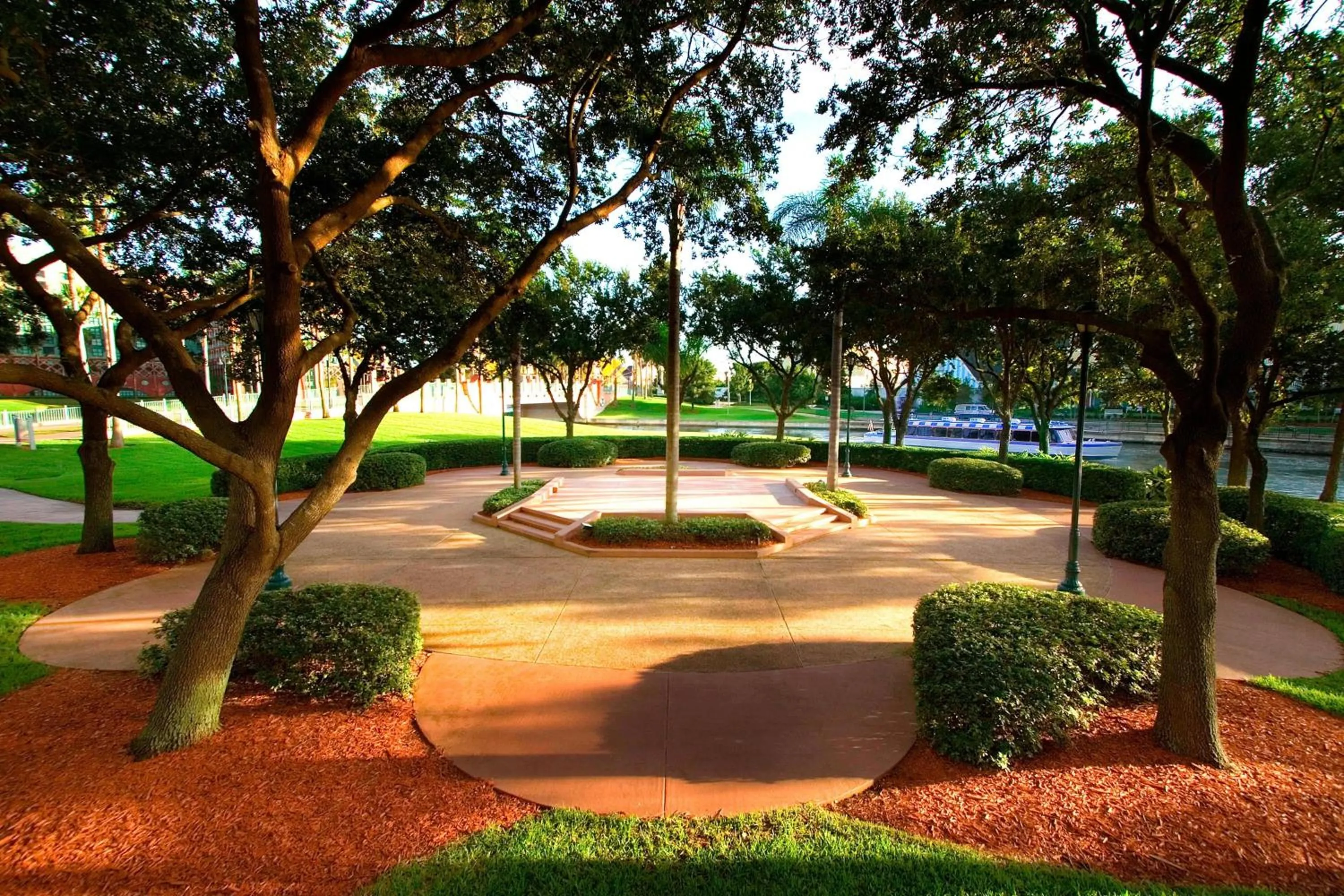 View (from property/room) in Walt Disney World Dolphin