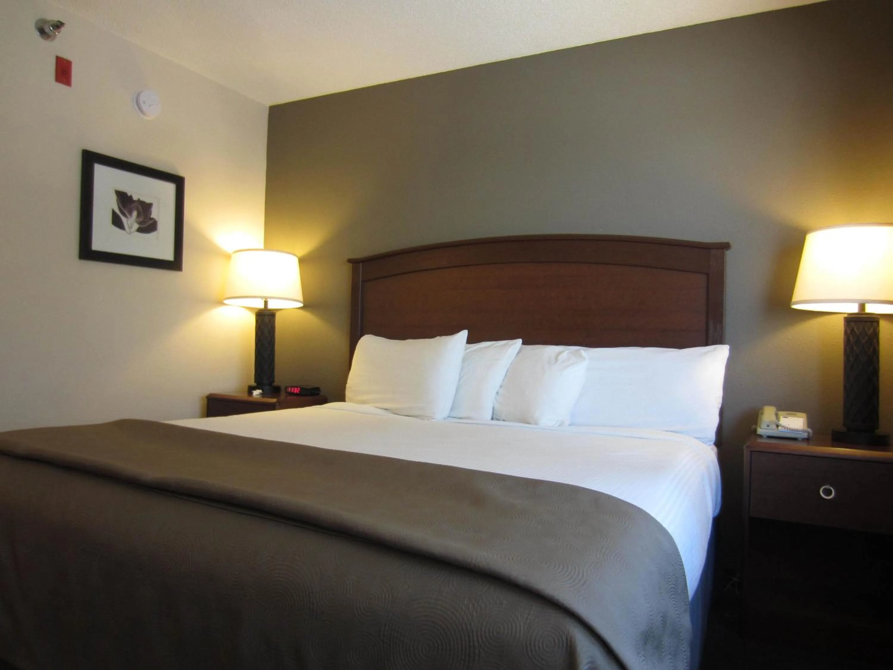 Photo of the whole room, Bed in AmericInn by Wyndham Hutchinson