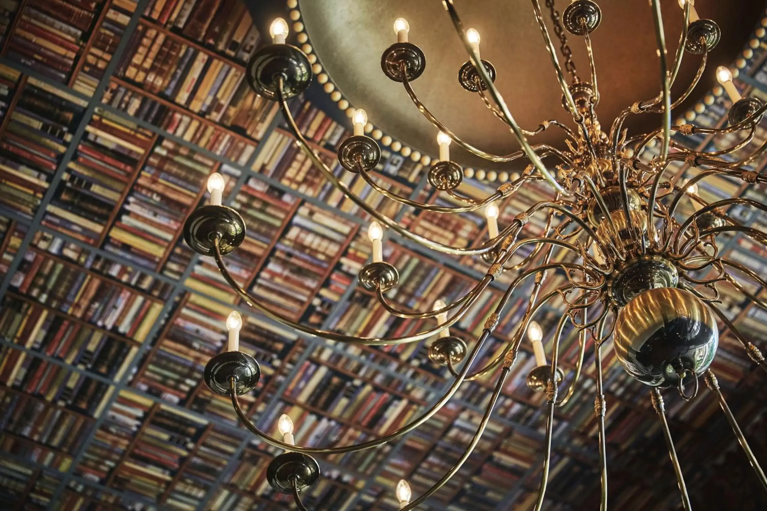 Lobby or reception in Graduate by Hilton Ann Arbor Lobby or reception in Graduate by Hilton Ann Arbor