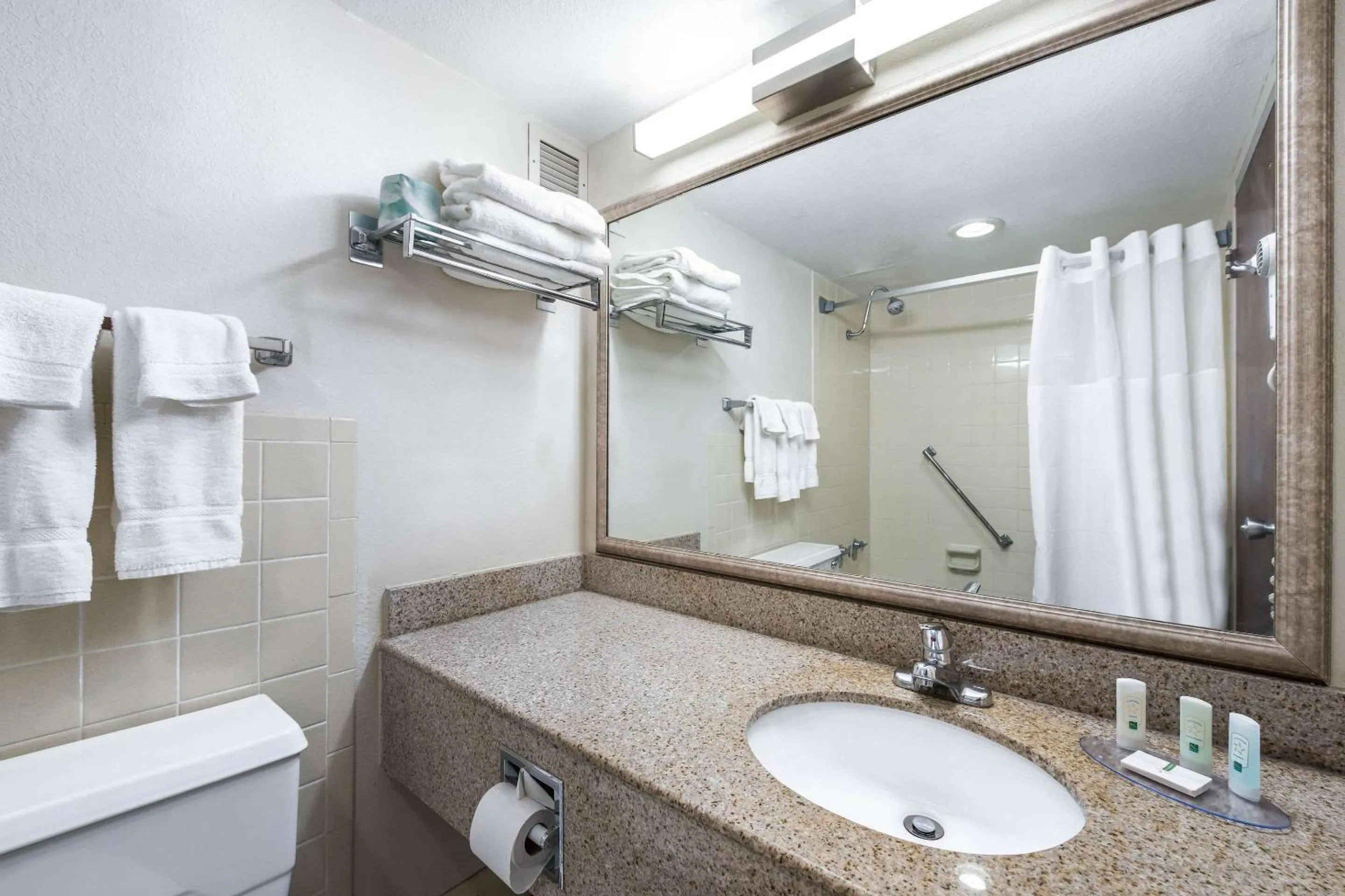 Bathroom in Quality Inn & Suites Albert Lea