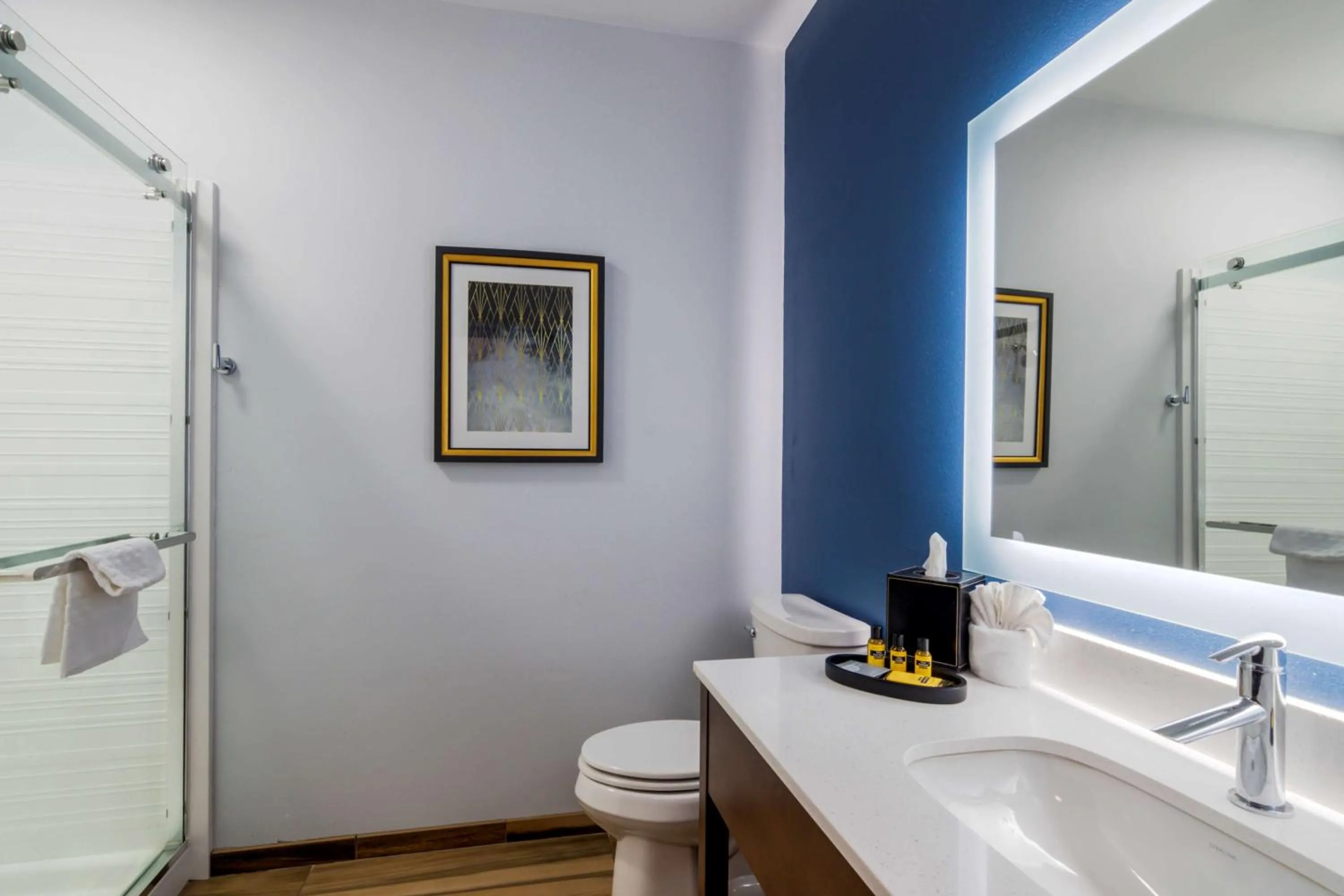 Bathroom in Best Western Plus St. Louis Airport Hotel