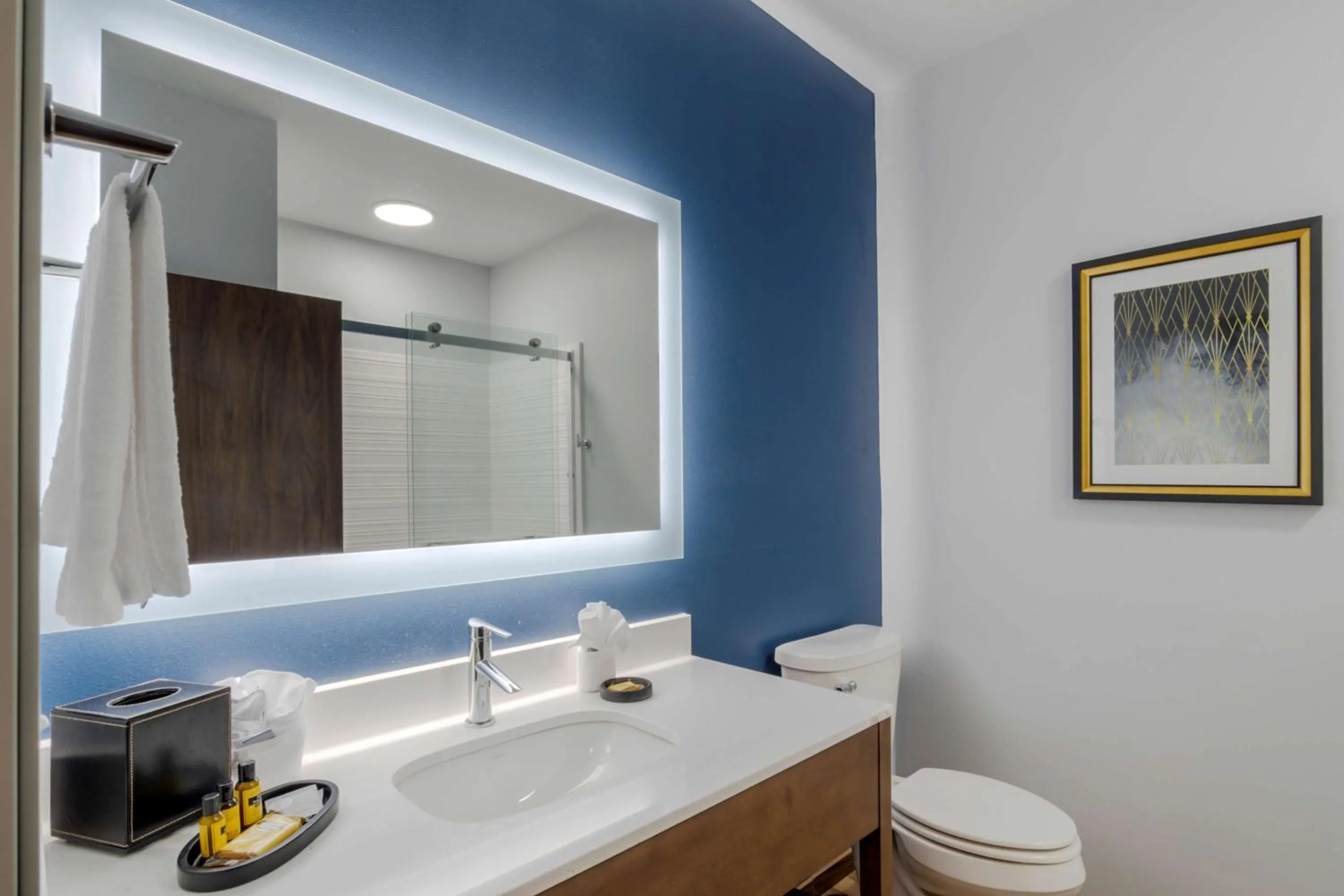 Bathroom in Best Western Plus St. Louis Airport Hotel