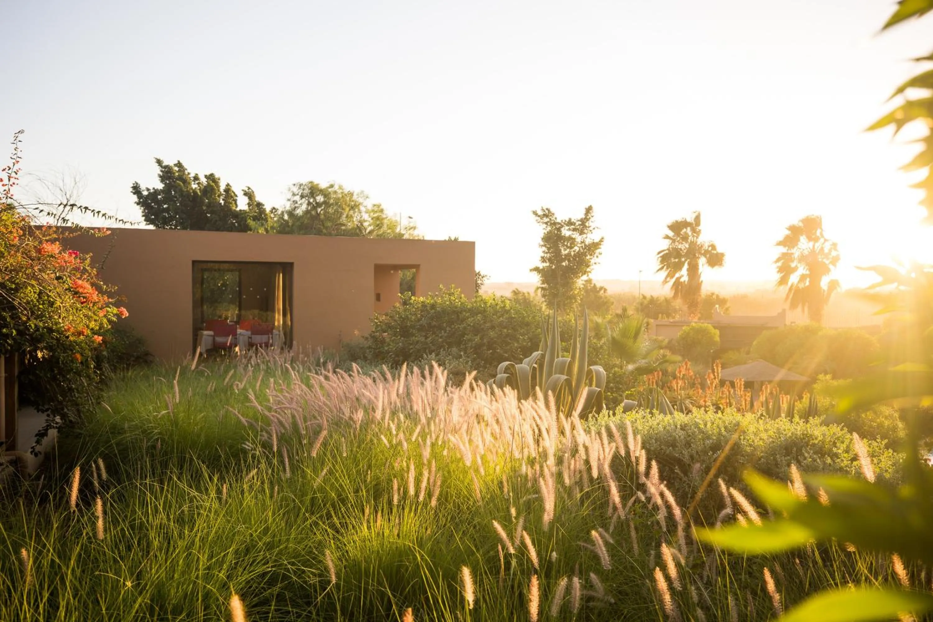 Property building in Dar Maktoub