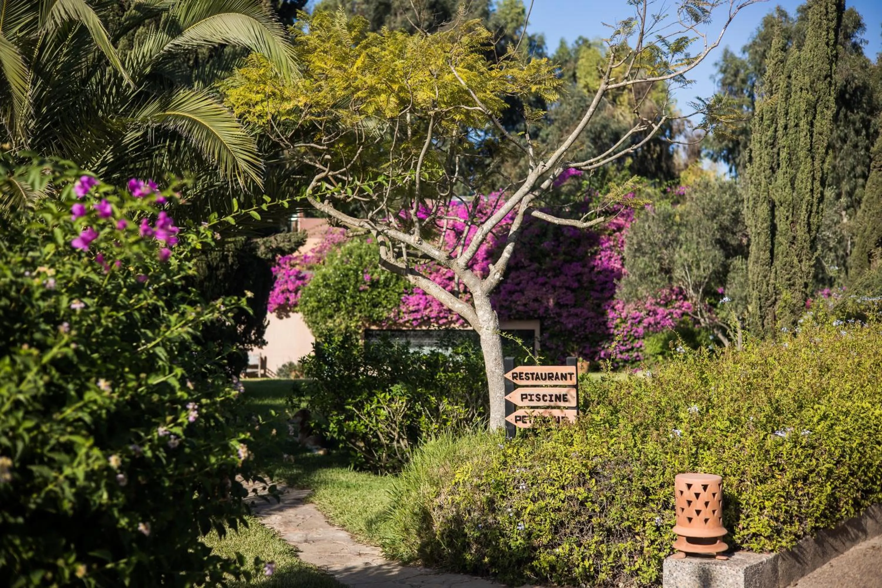 Spring in Dar Maktoub