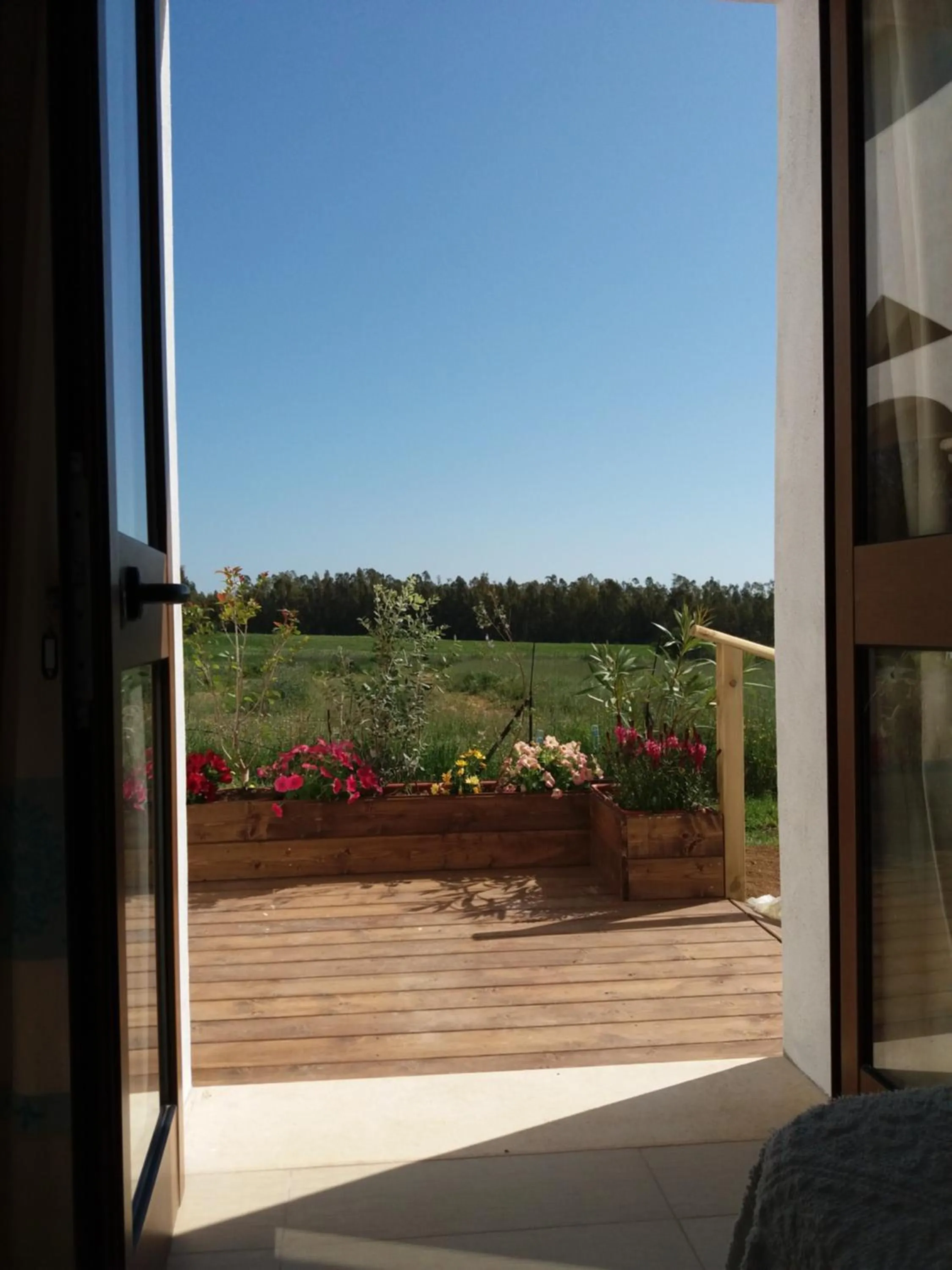 Patio in B&B Briosa