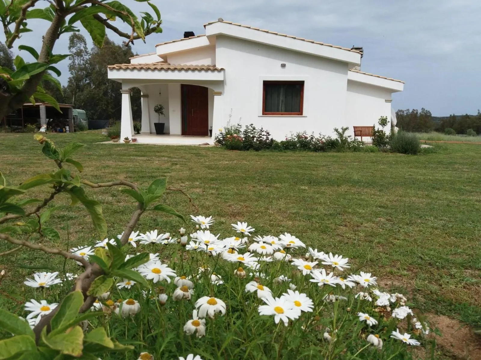 Property building in B&B Briosa