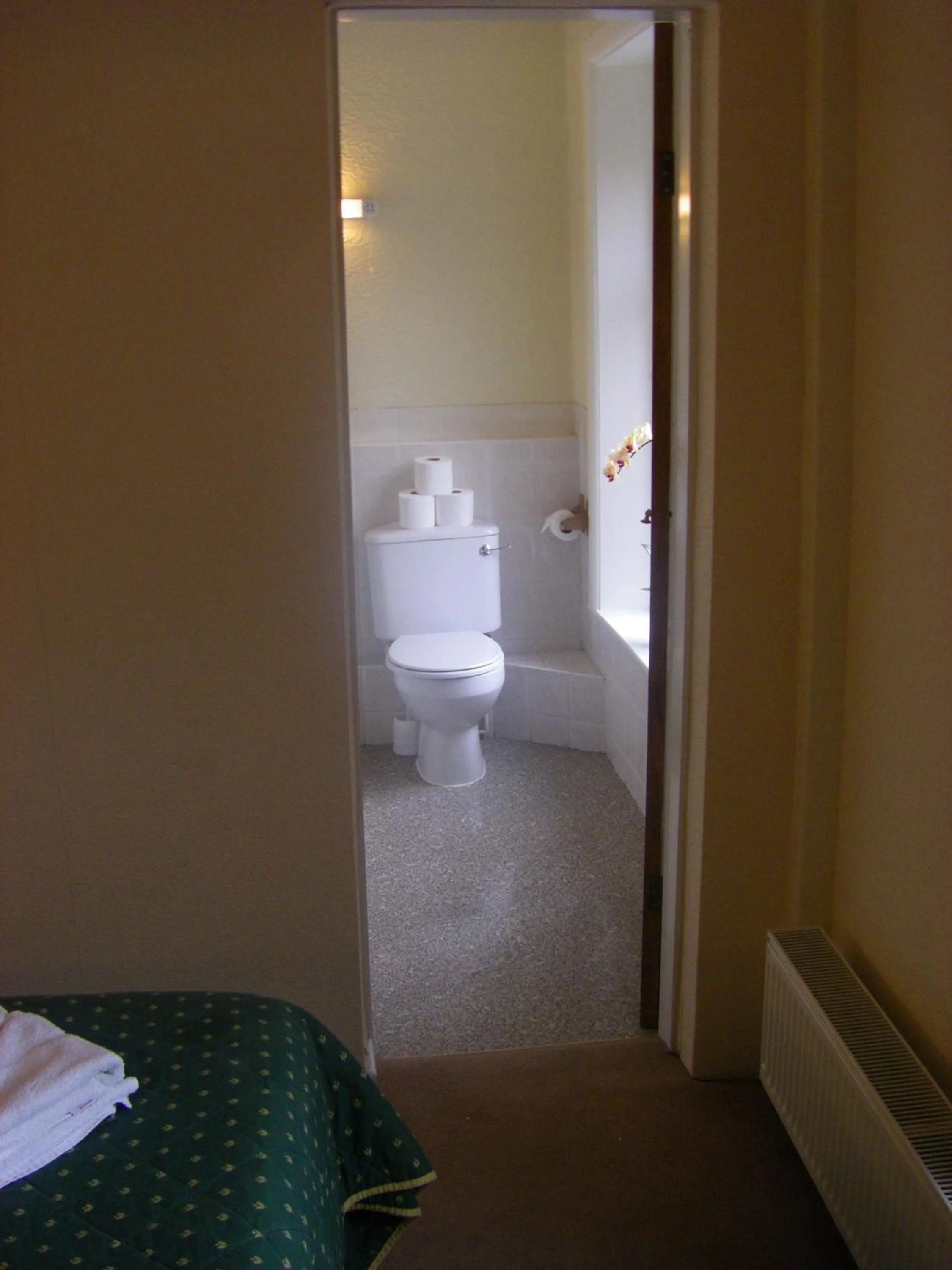 Toilet in The Waldorf - Near Pleasure Beach & Sandcastle