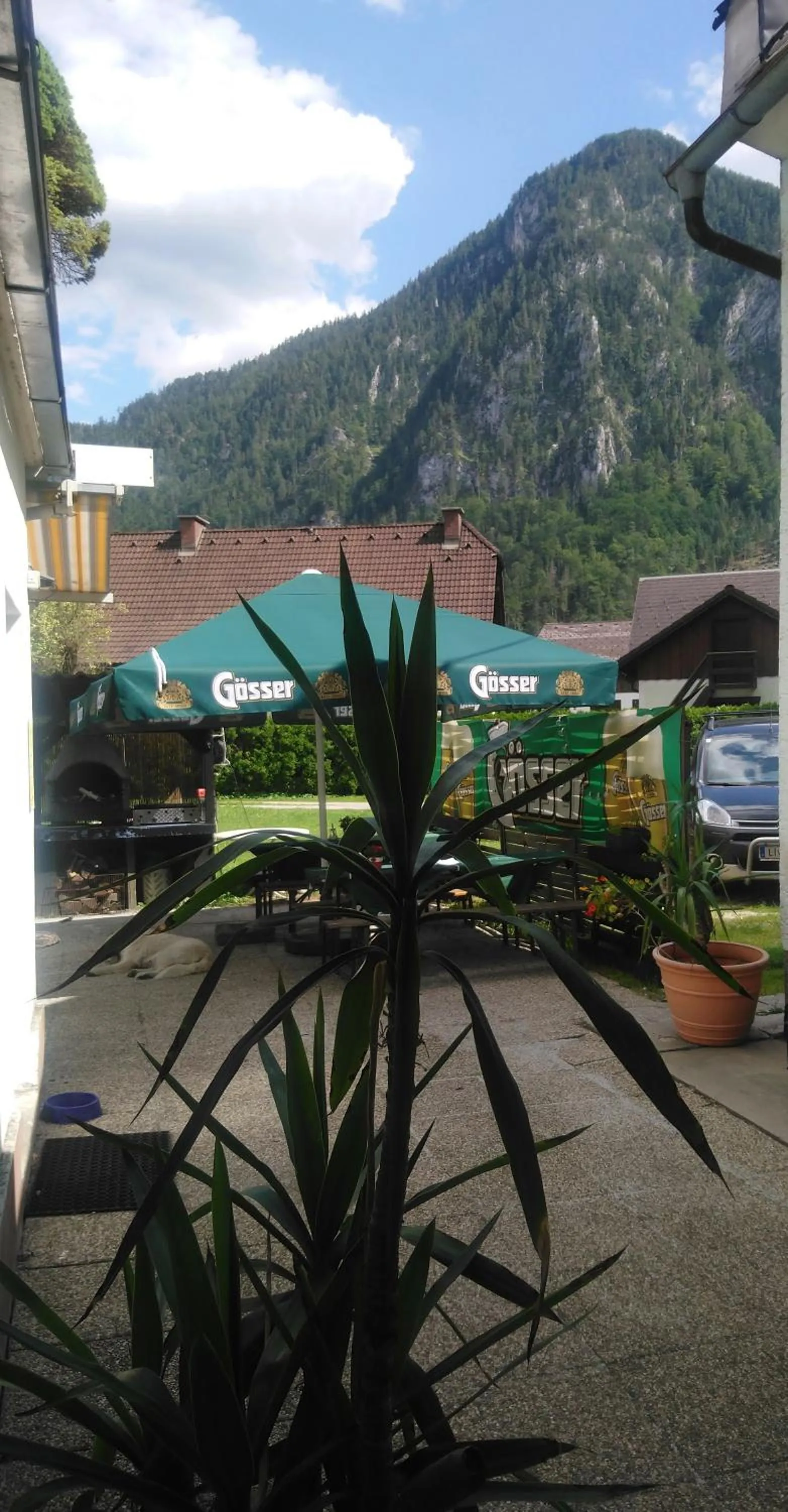 Balcony/Terrace in kajakshop-wildalpen