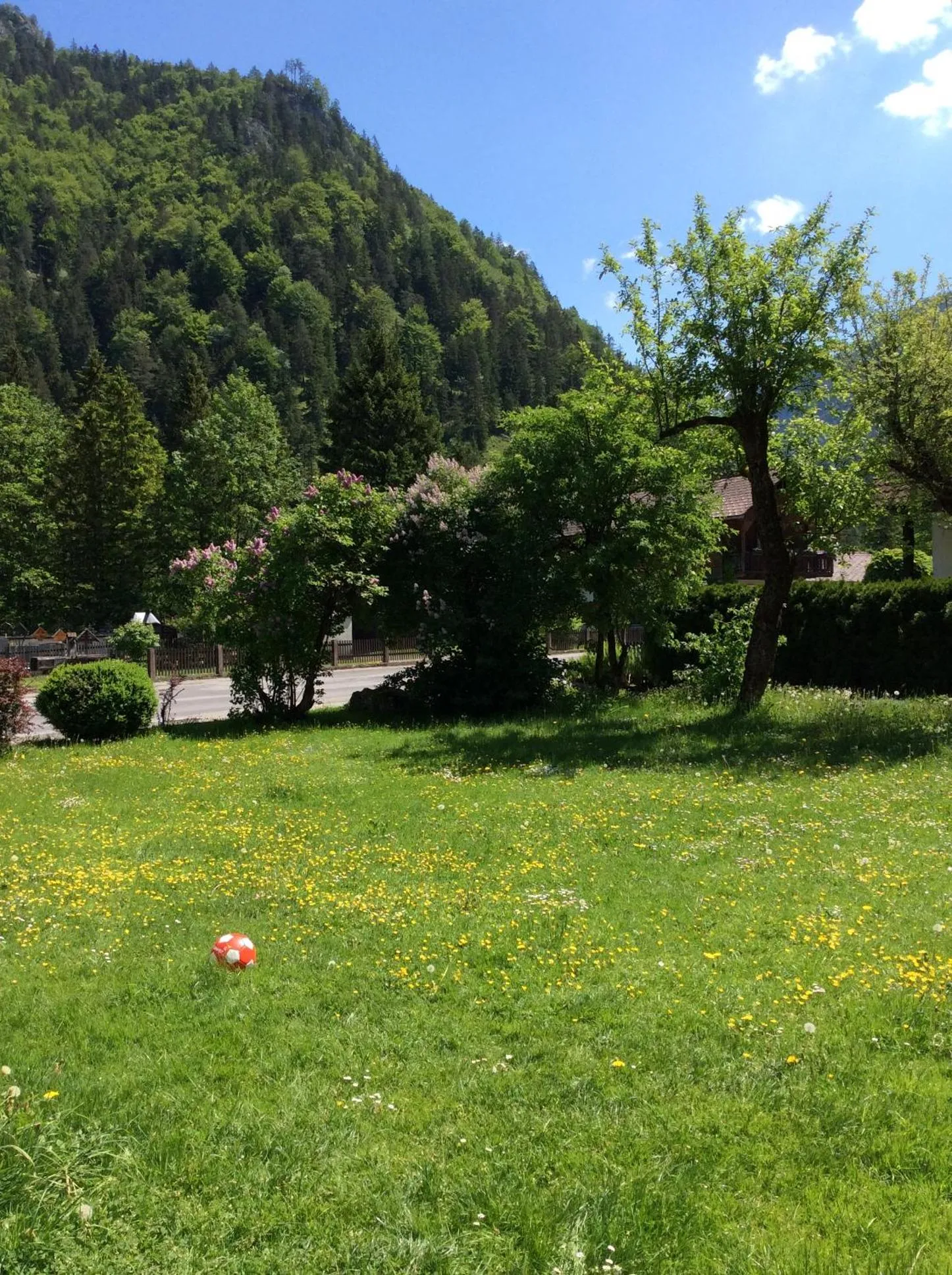 Property building in kajakshop-wildalpen