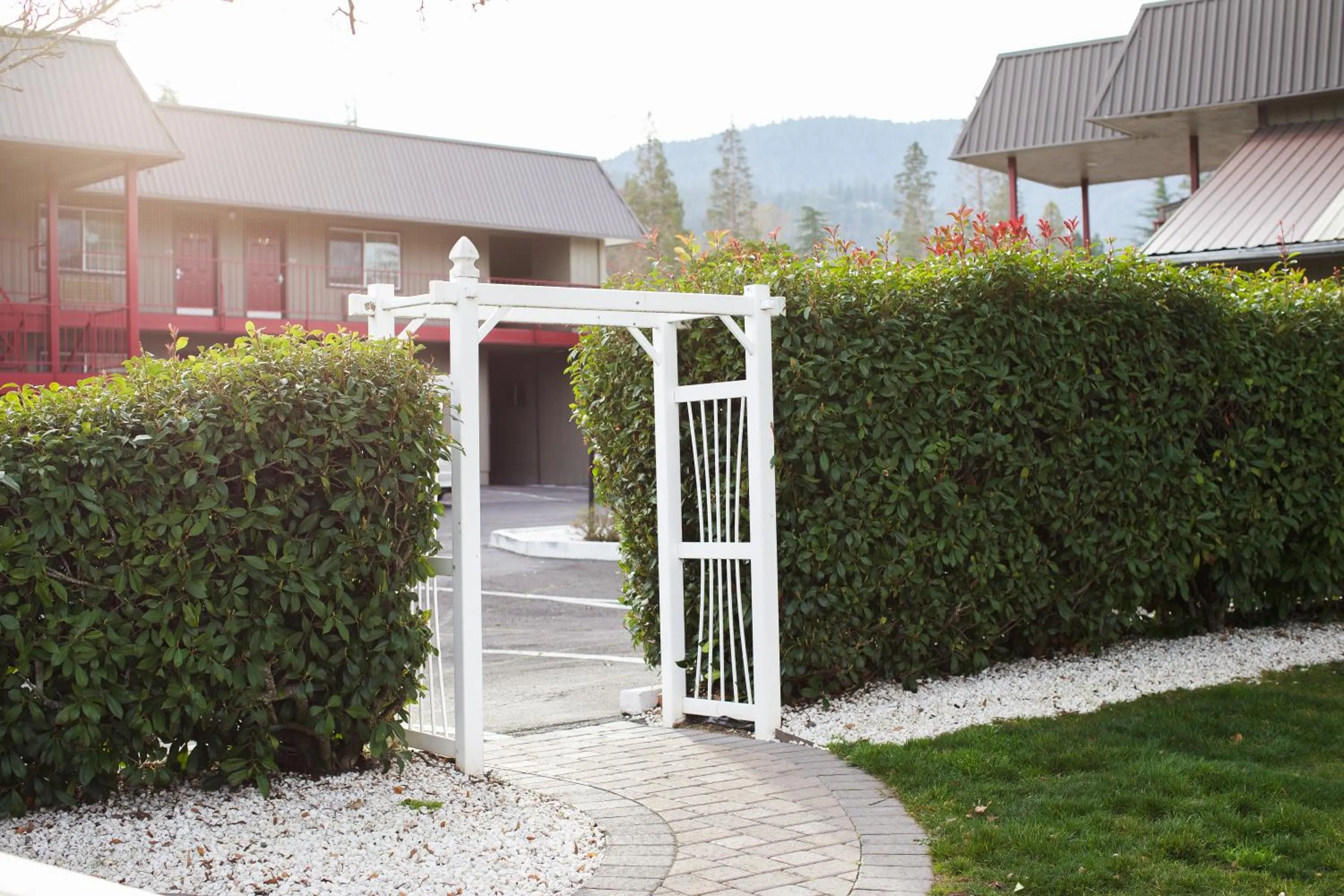 Garden in Flagship Inn of Ashland
