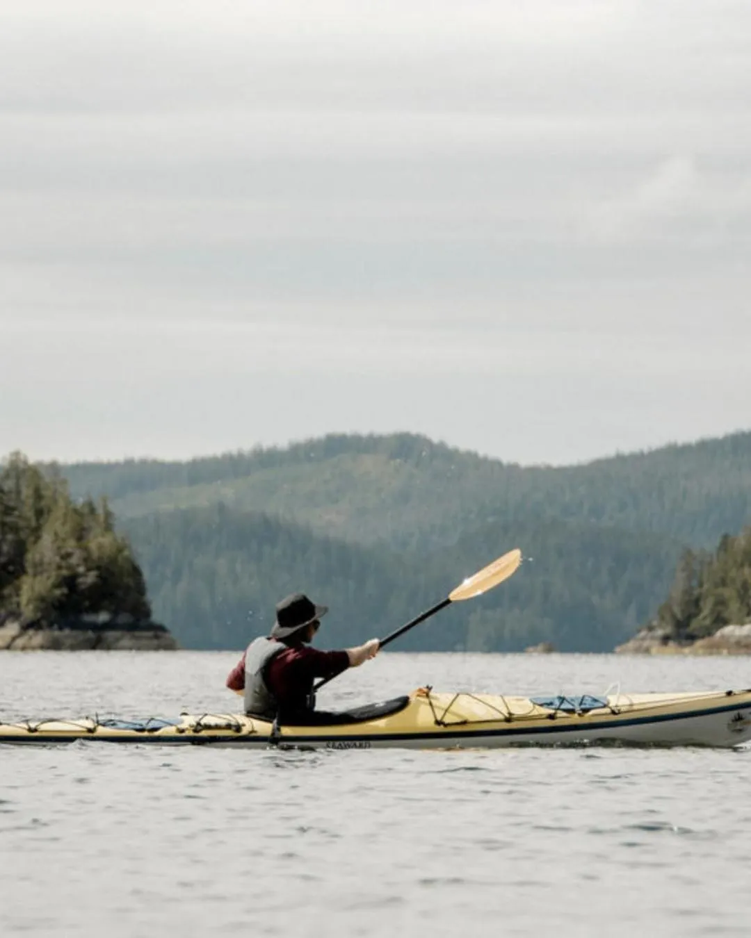 Activities in Tofino Resort + Marina