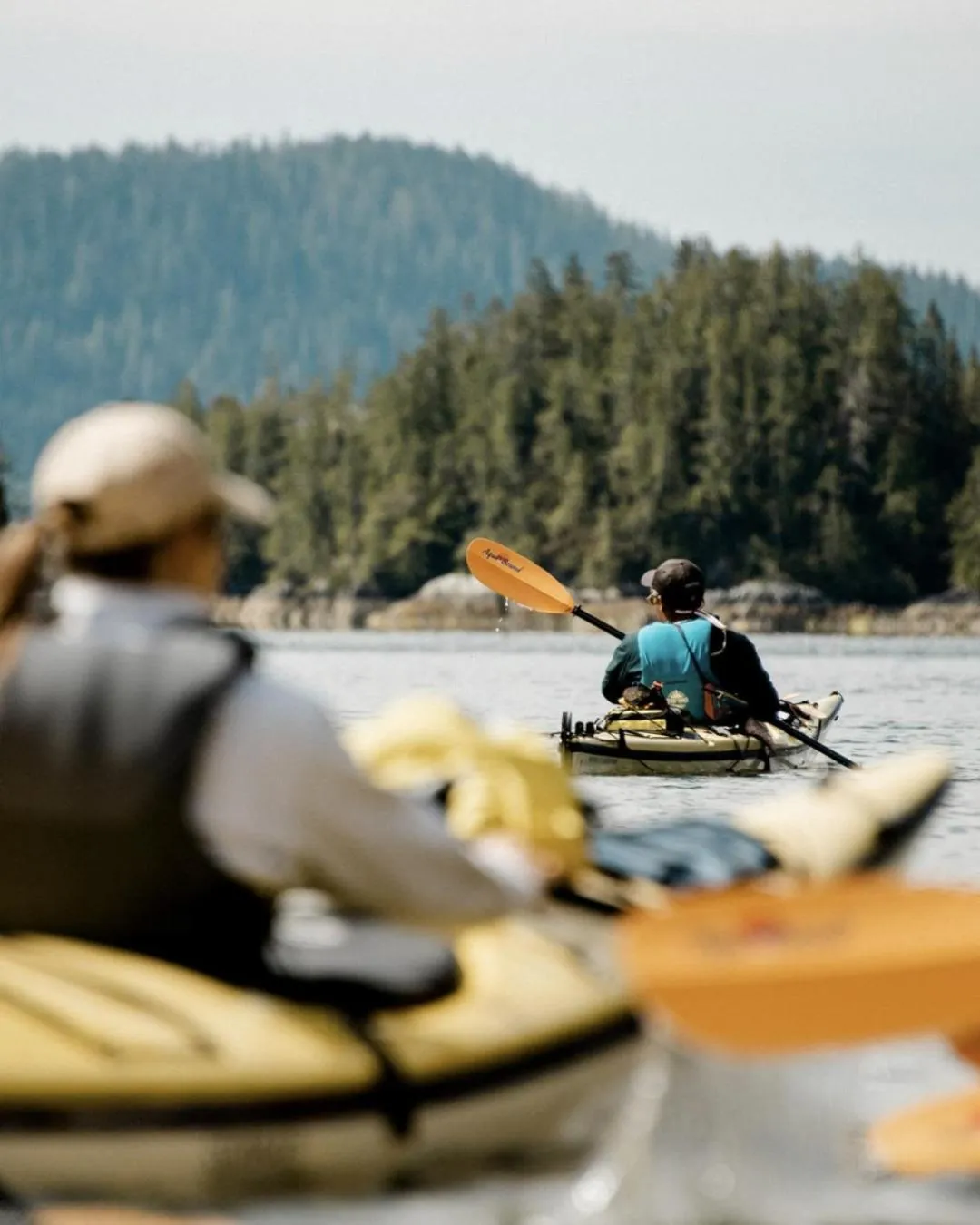 Activities in Tofino Resort + Marina