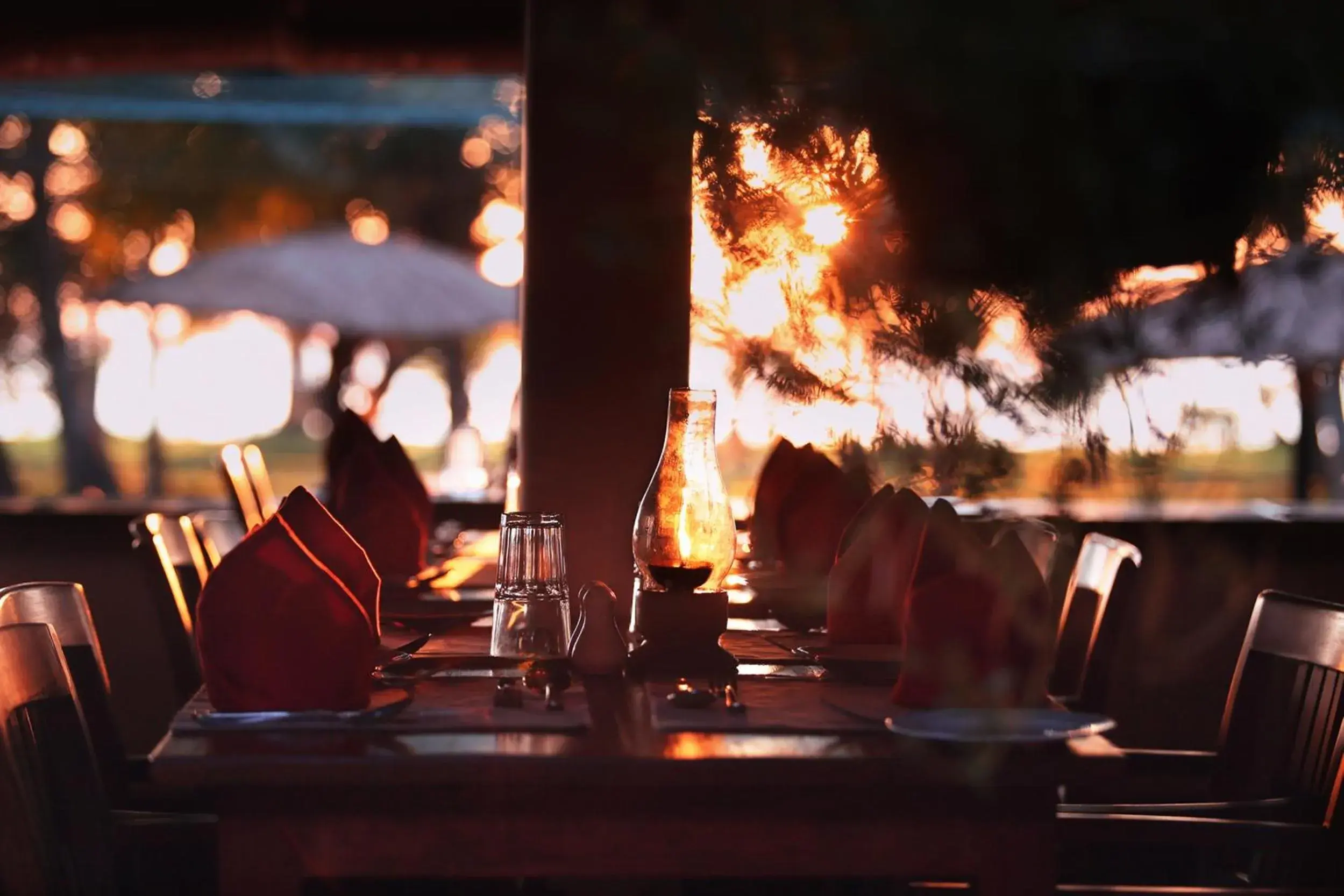 Food and drinks in Coconut Lagoon Kumarakom - A CGH Earth Experience Food and drinks in Coconut Lagoon Kumarakom - A CGH Earth Experience