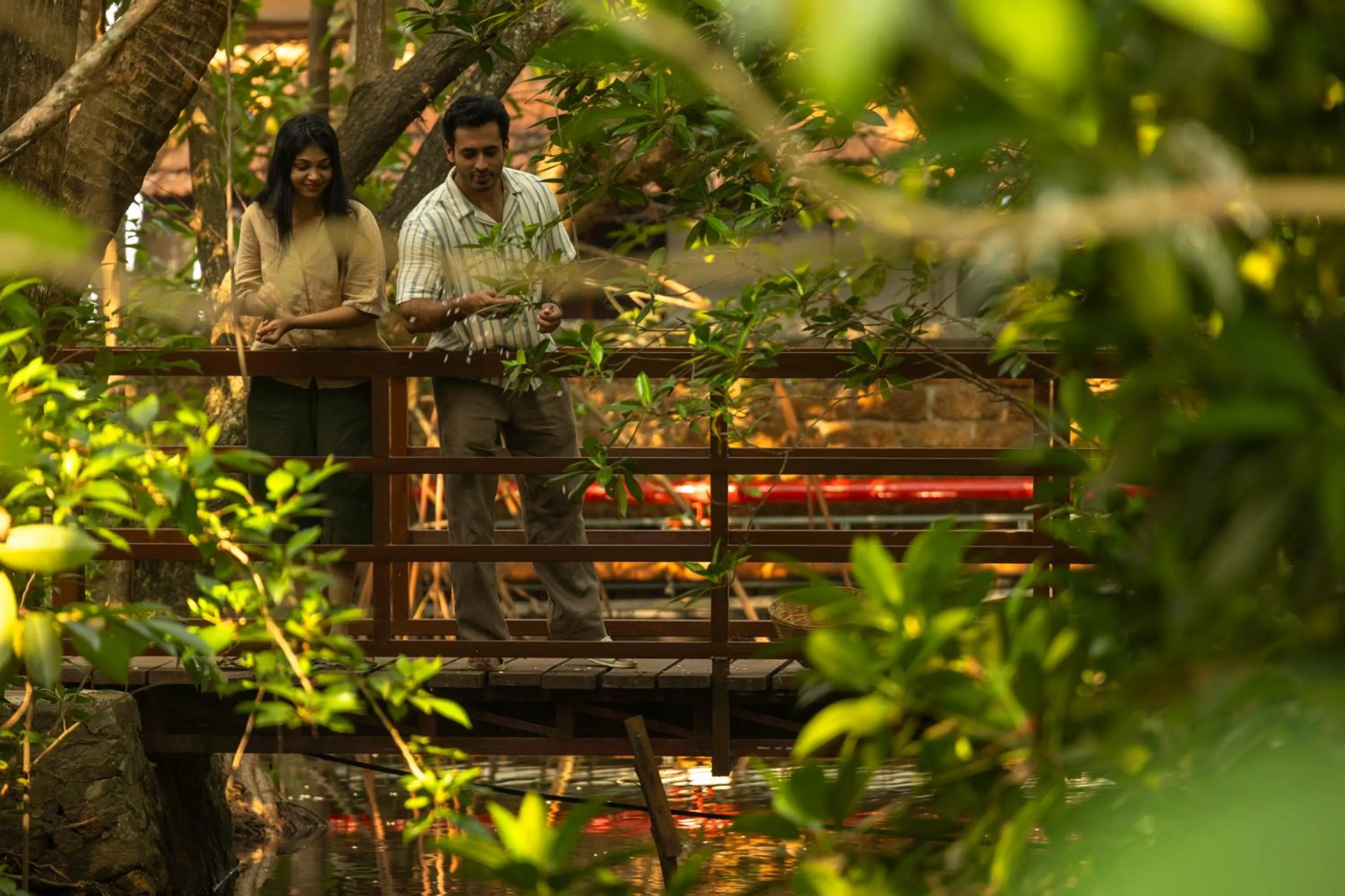 Activities in Coconut Lagoon Kumarakom - A CGH Earth Experience