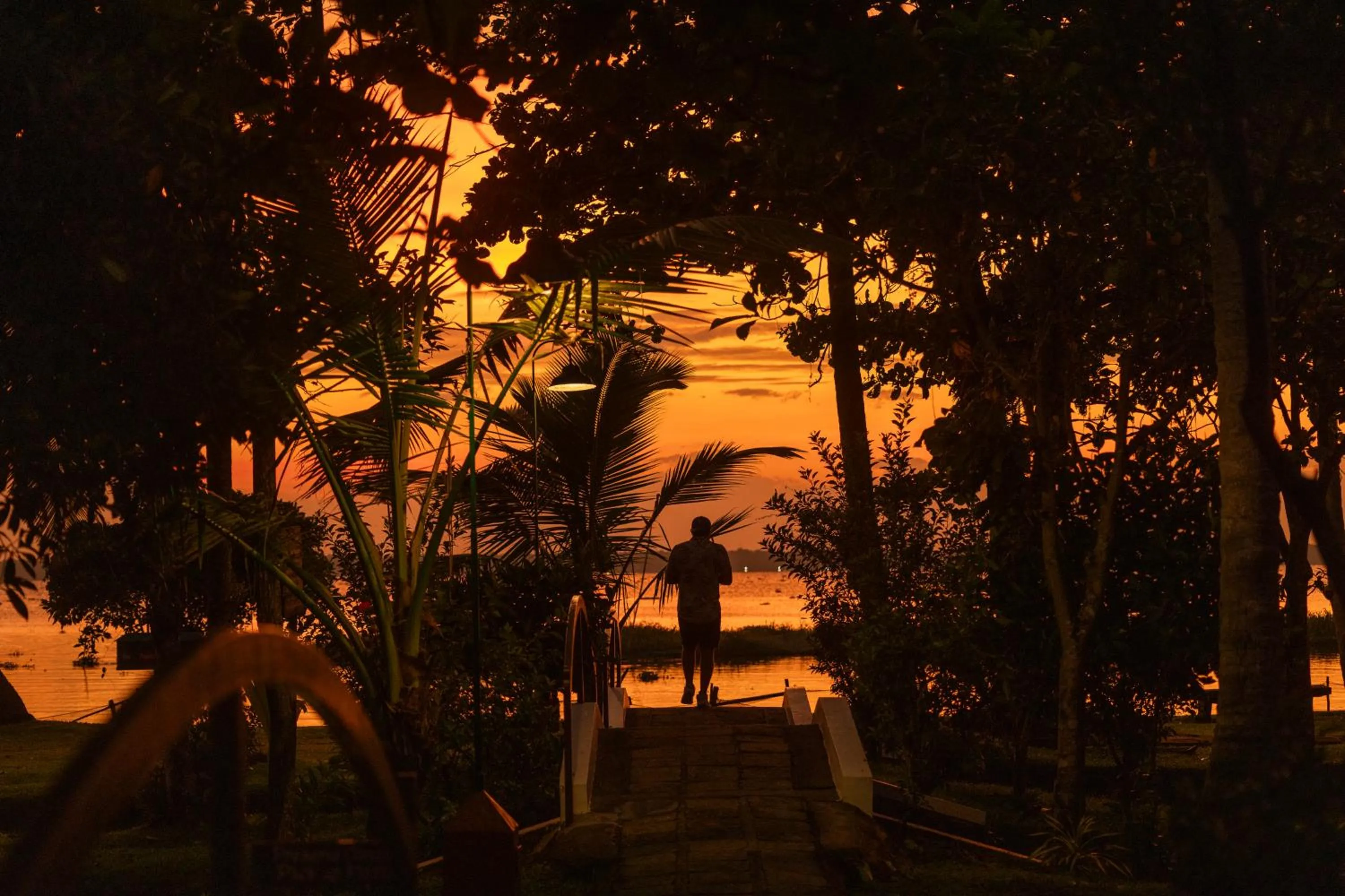 Sunset in Coconut Lagoon Kumarakom - A CGH Earth Experience