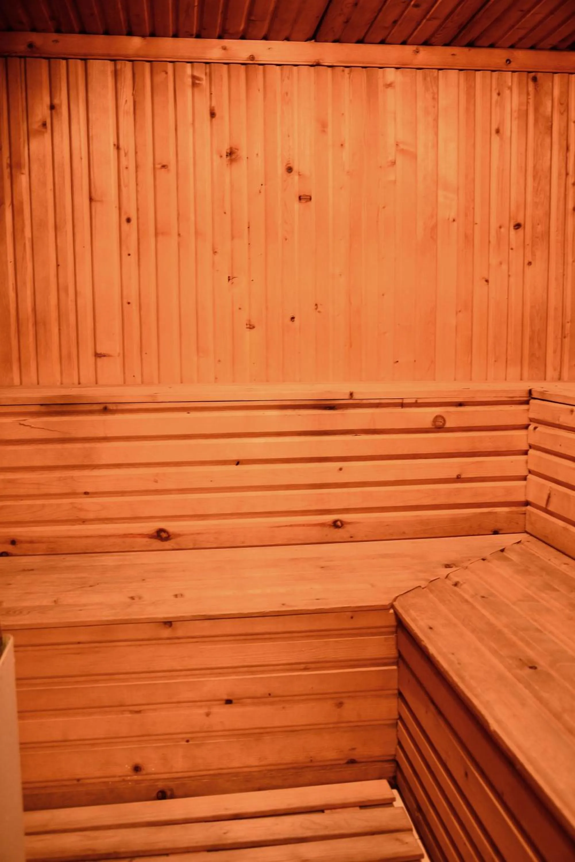 Sauna in Olymp Hotel