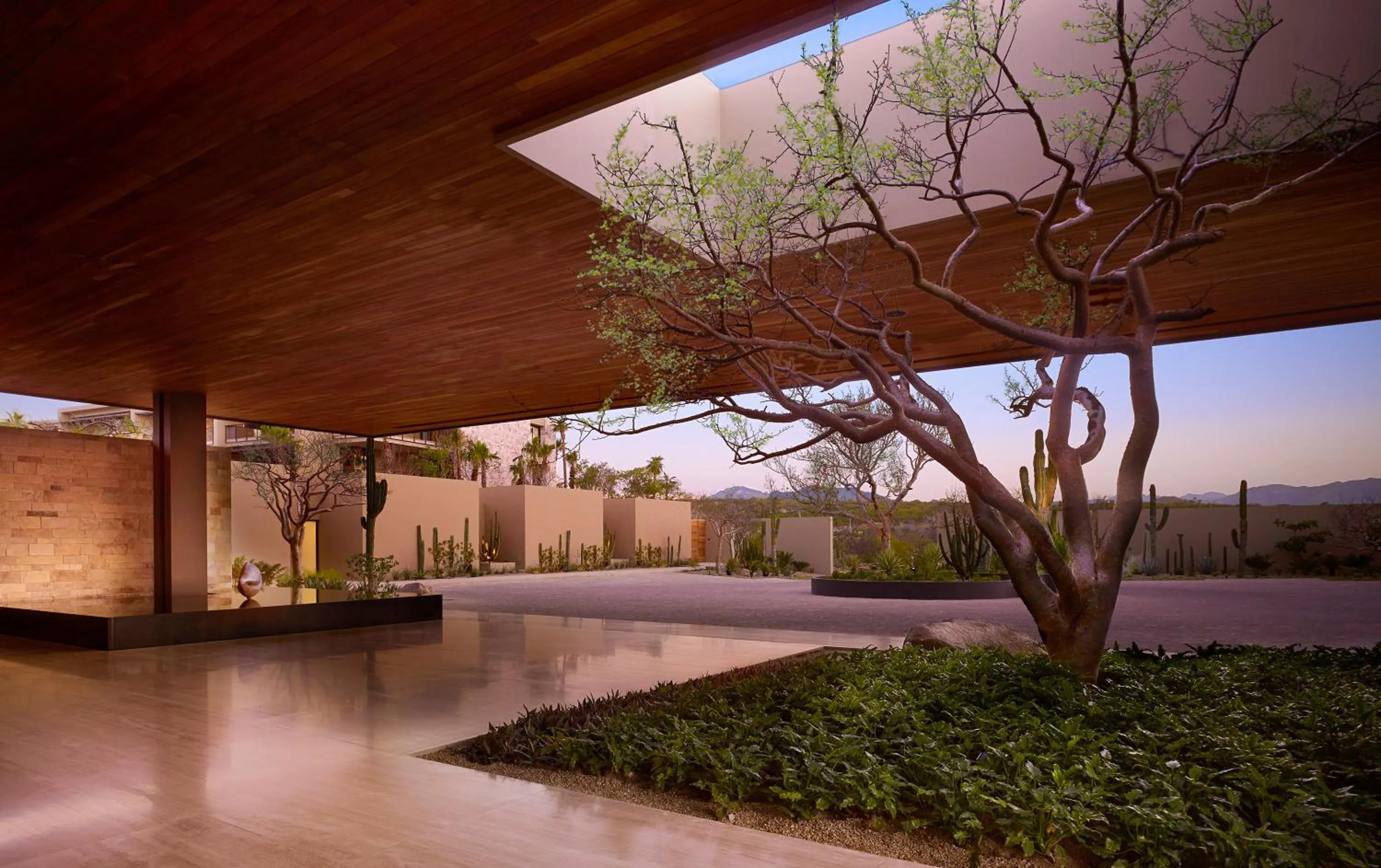 Area and facilities in Montage Los Cabos