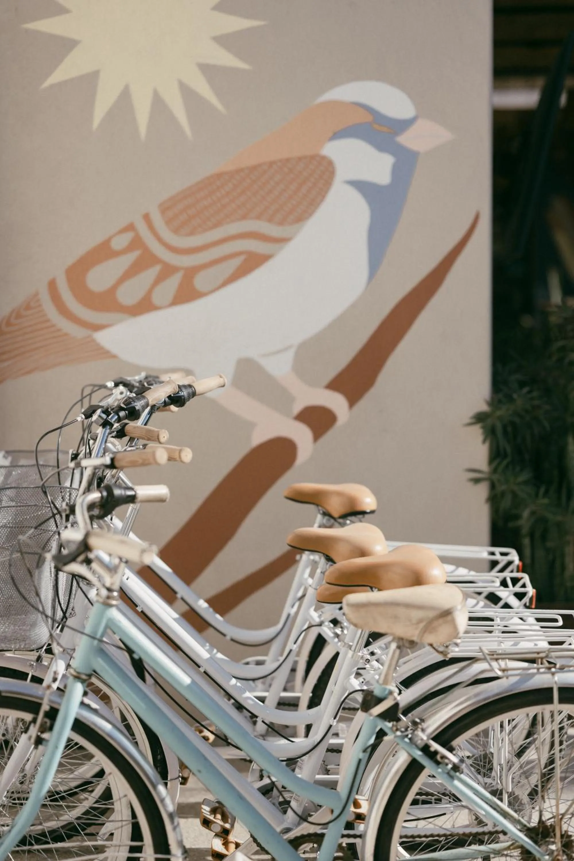 Cycling in Mayan Monkey Los Cabos - Social Hotel