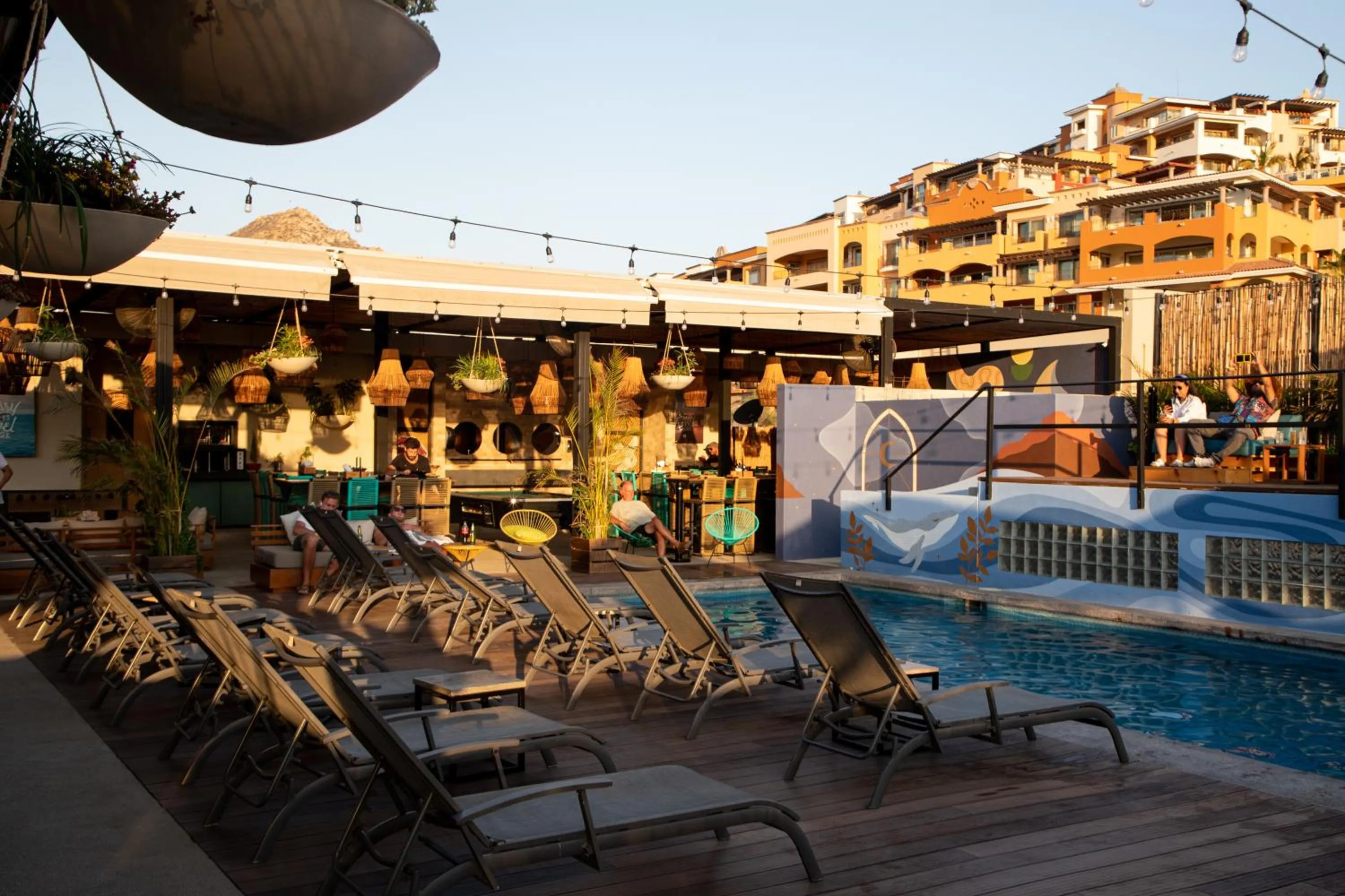 Swimming pool in Mayan Monkey Los Cabos - Social Hotel