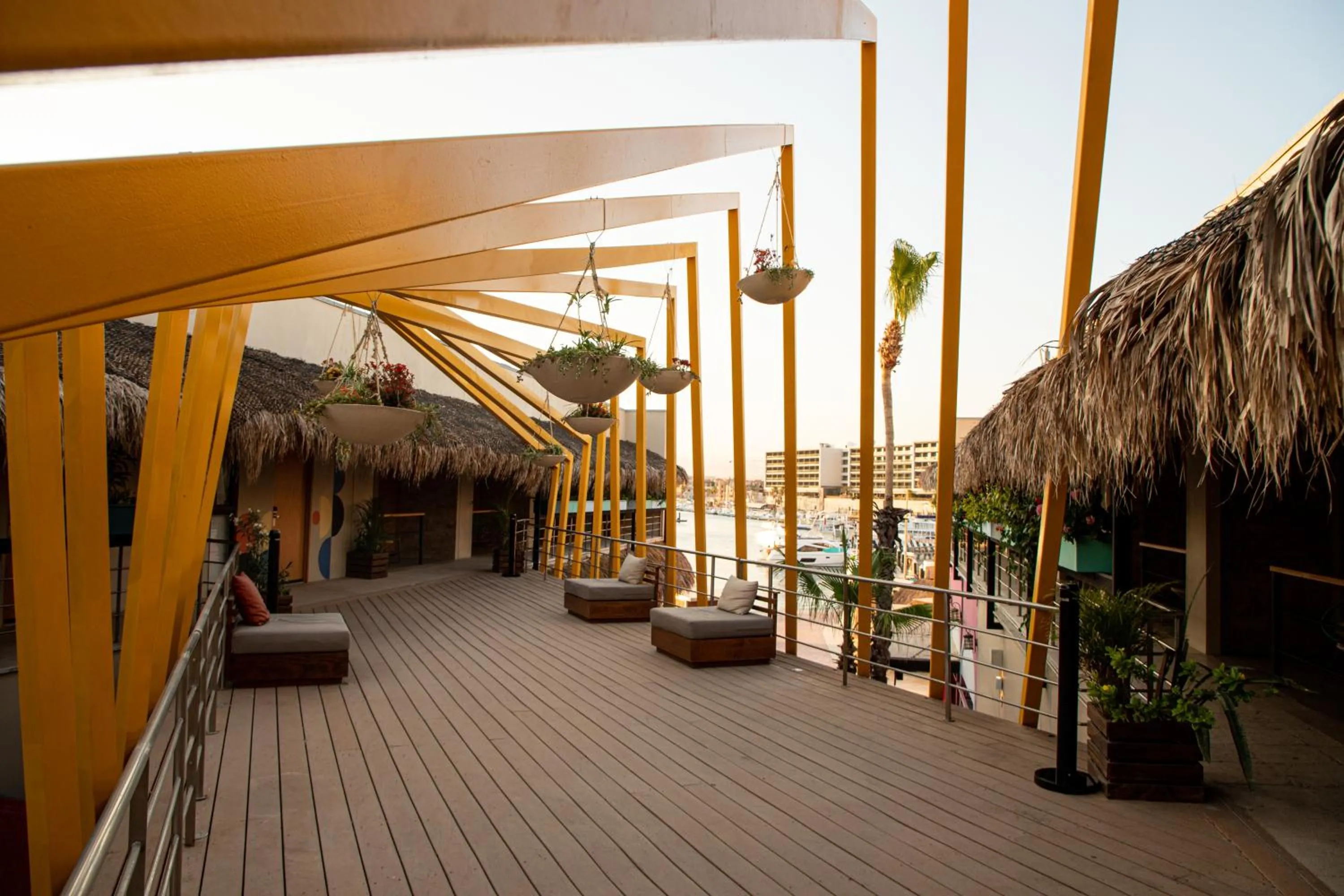 Property building in Mayan Monkey Los Cabos - Social Hotel