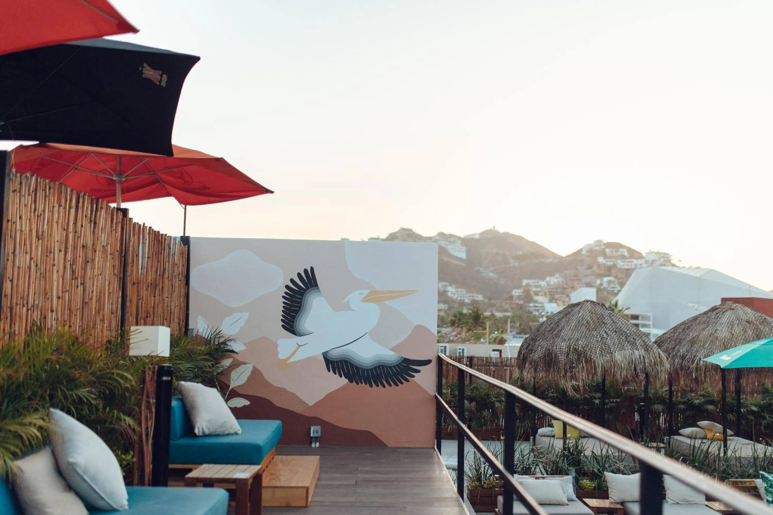 Patio in Mayan Monkey Los Cabos - Social Hotel