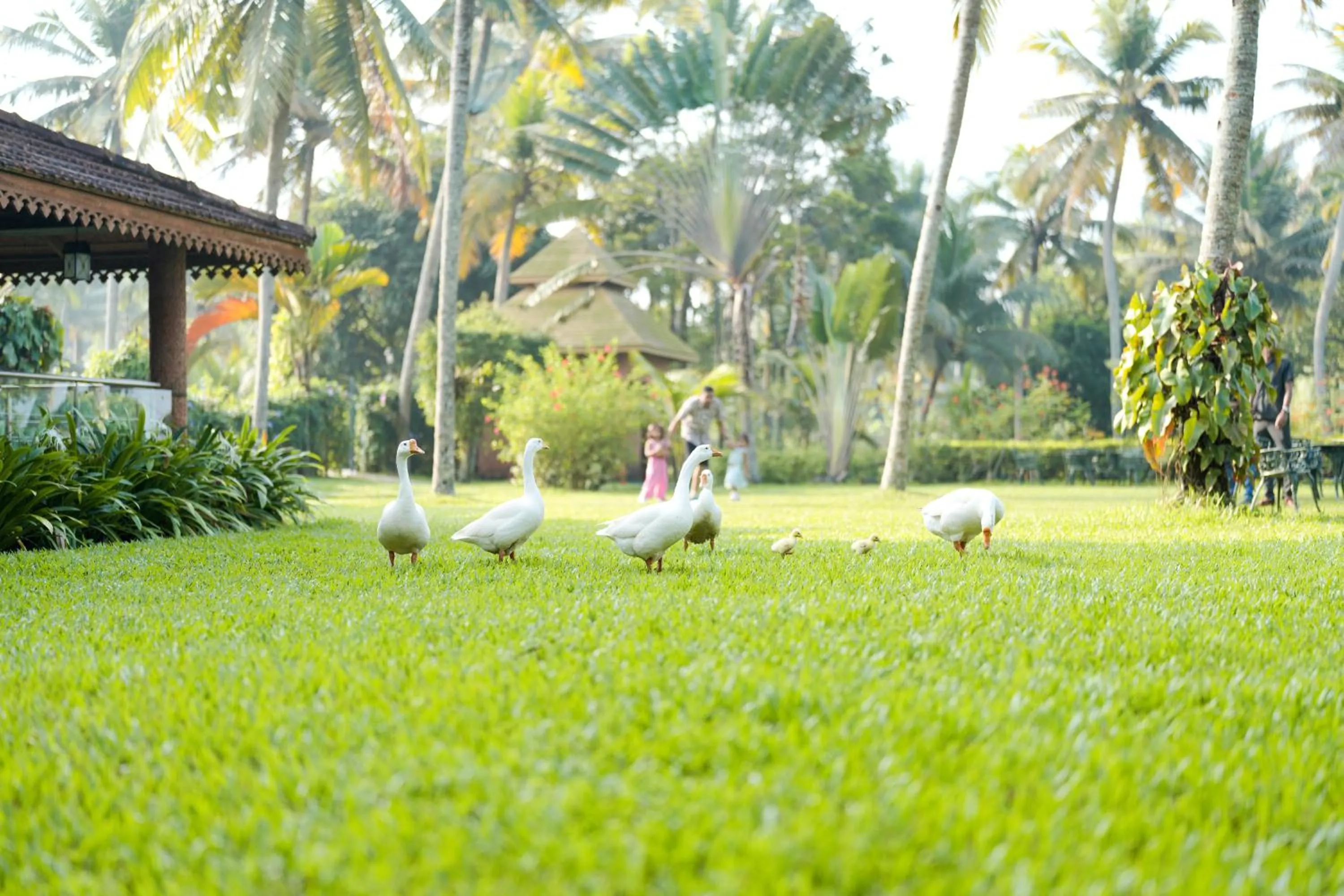 Spring in Lakesong Resort